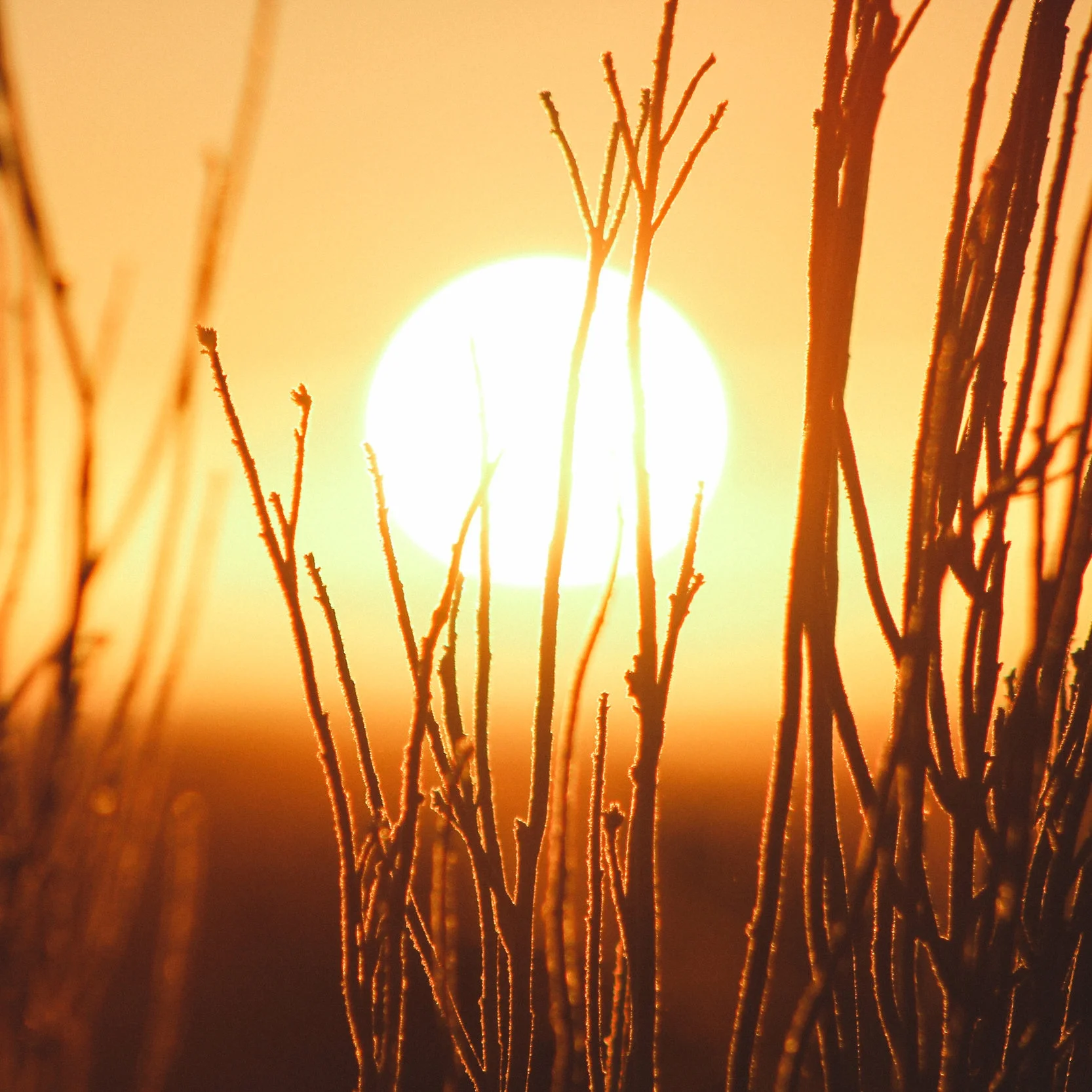 “FourFiveSeconds”