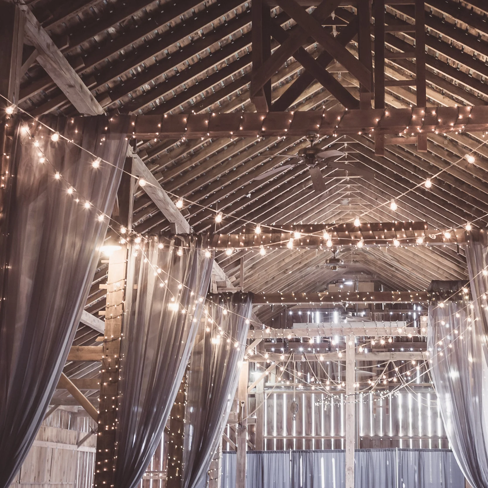 "Things I'll Never Say"