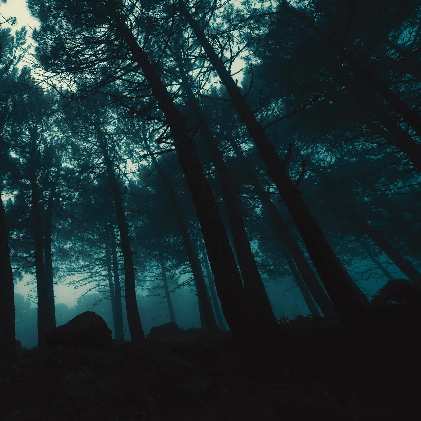 "The Graveyard Near The House"