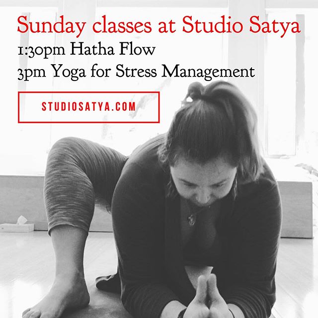 TODAY! I&rsquo;m so excited to teach two regular classes at @studio_satya_austin on Sundays! 1:30pm accessible Hatha Flow&mdash;a 60 minute class at the same time as a kids&rsquo; class, so bring the family! 3pm Yoga for Stress Management&mdash;a gen