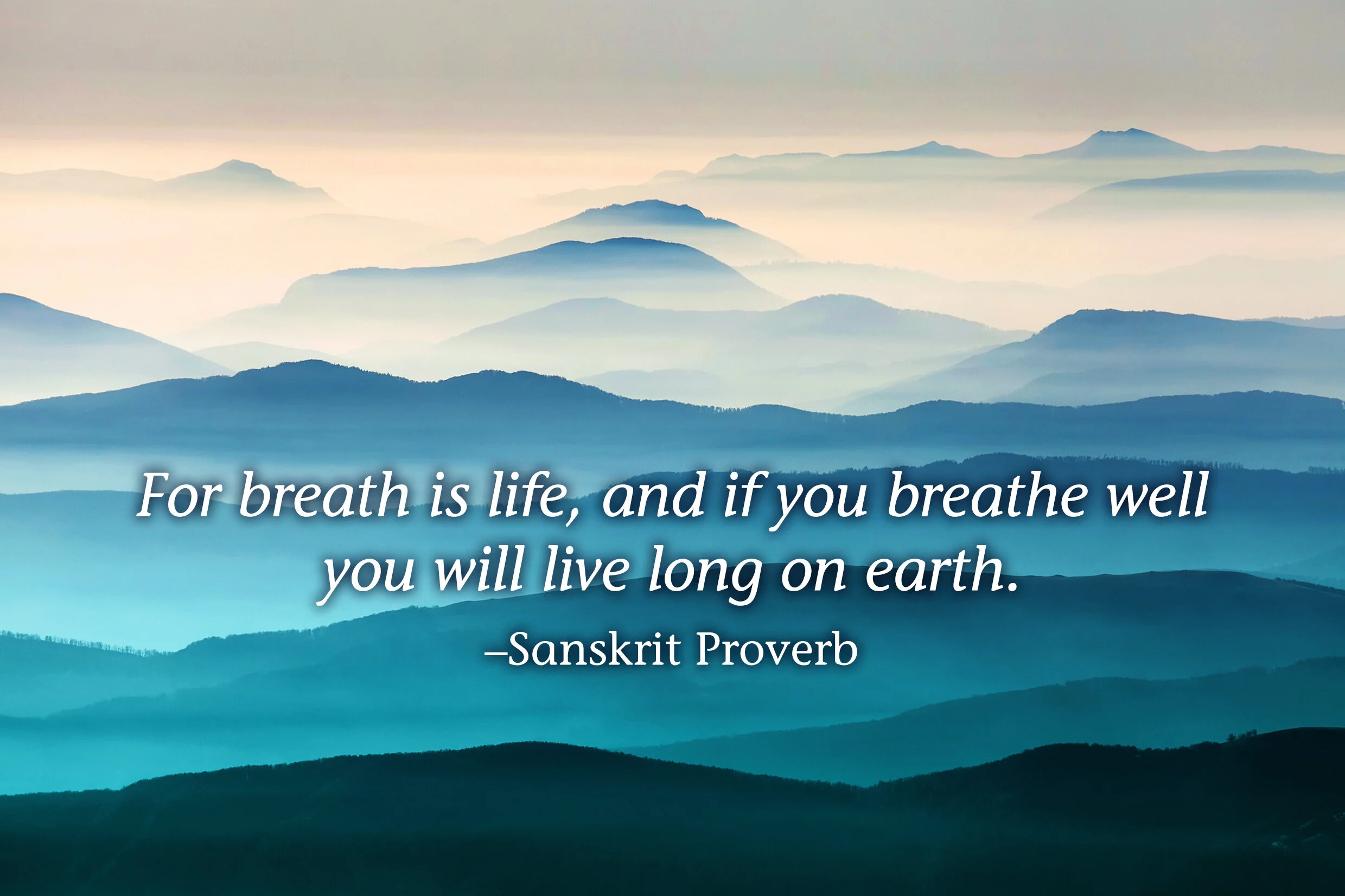 Main-homepage-image-2.jpg