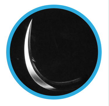 Screen Shot 2018-08-29 at 2.04.04 PM.png