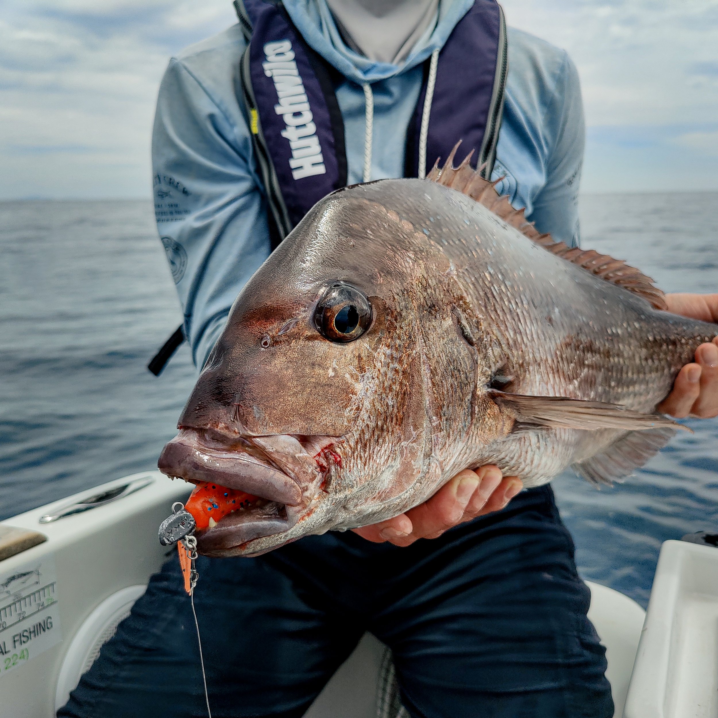 Soft Bait Fishing: Selecting The Right Hooks For Success! — BKK Hooks New  Zealand