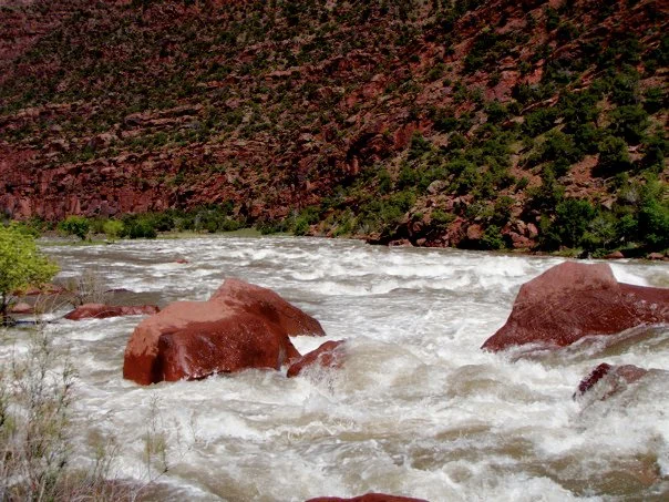 Hell’s Half Mile in the exceptionally high water year of 2011. Photo: Sara Porterfield