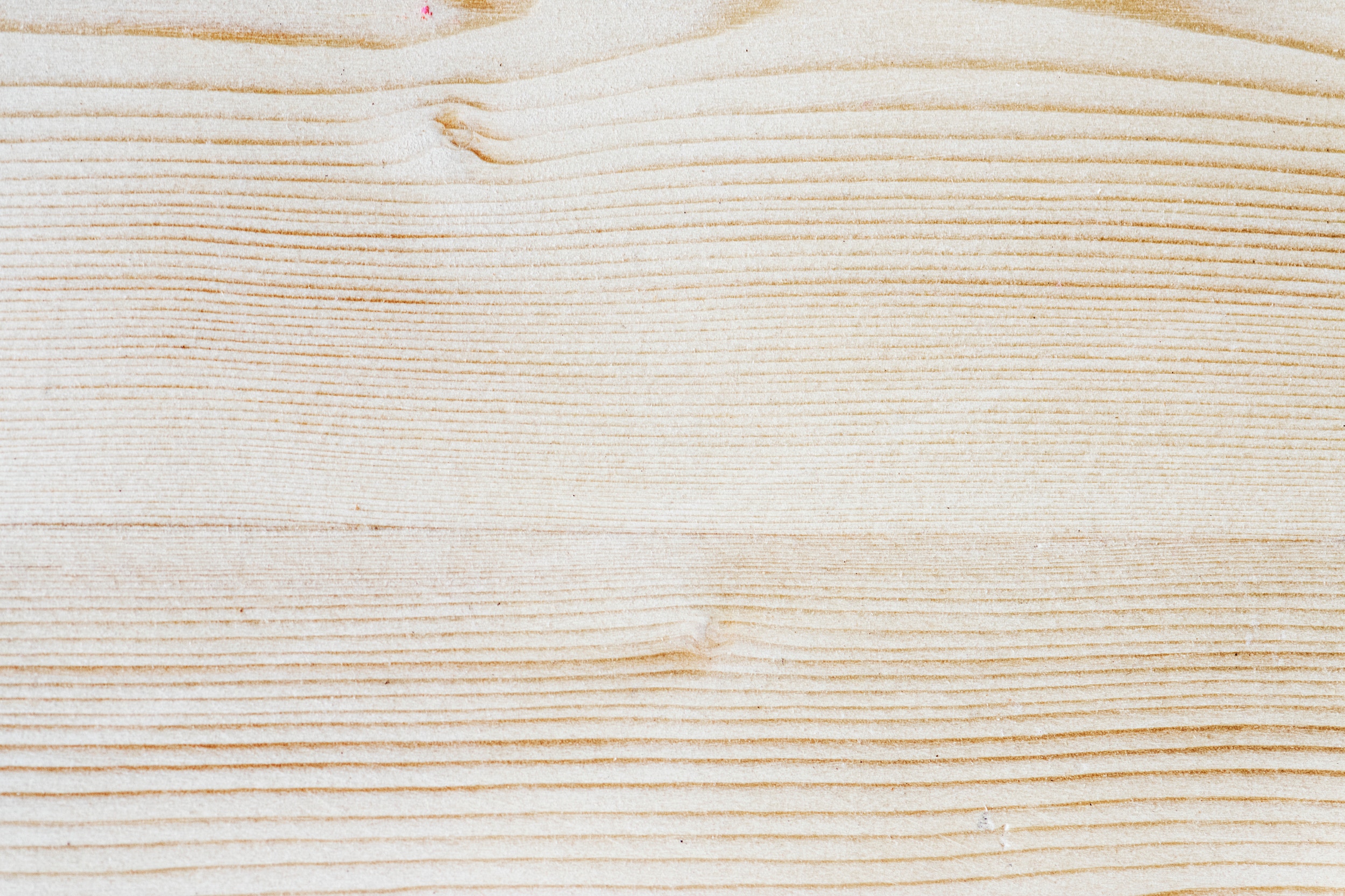 rawpixel-589085-unsplash.jpg