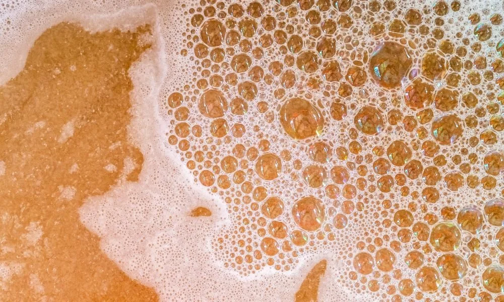 Why Good Yeast Management Is Important for Beer Quality