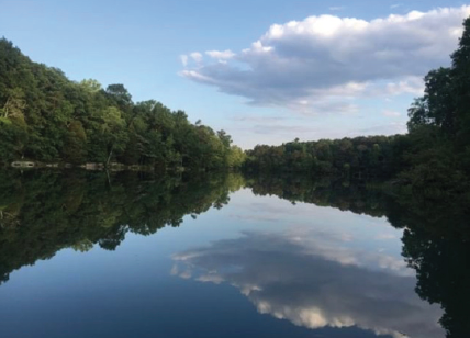 Screen Shot 2019-03-16 at 3.55.43 PM.png