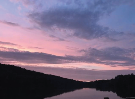 Screen Shot 2019-03-16 at 3.55.32 PM.png