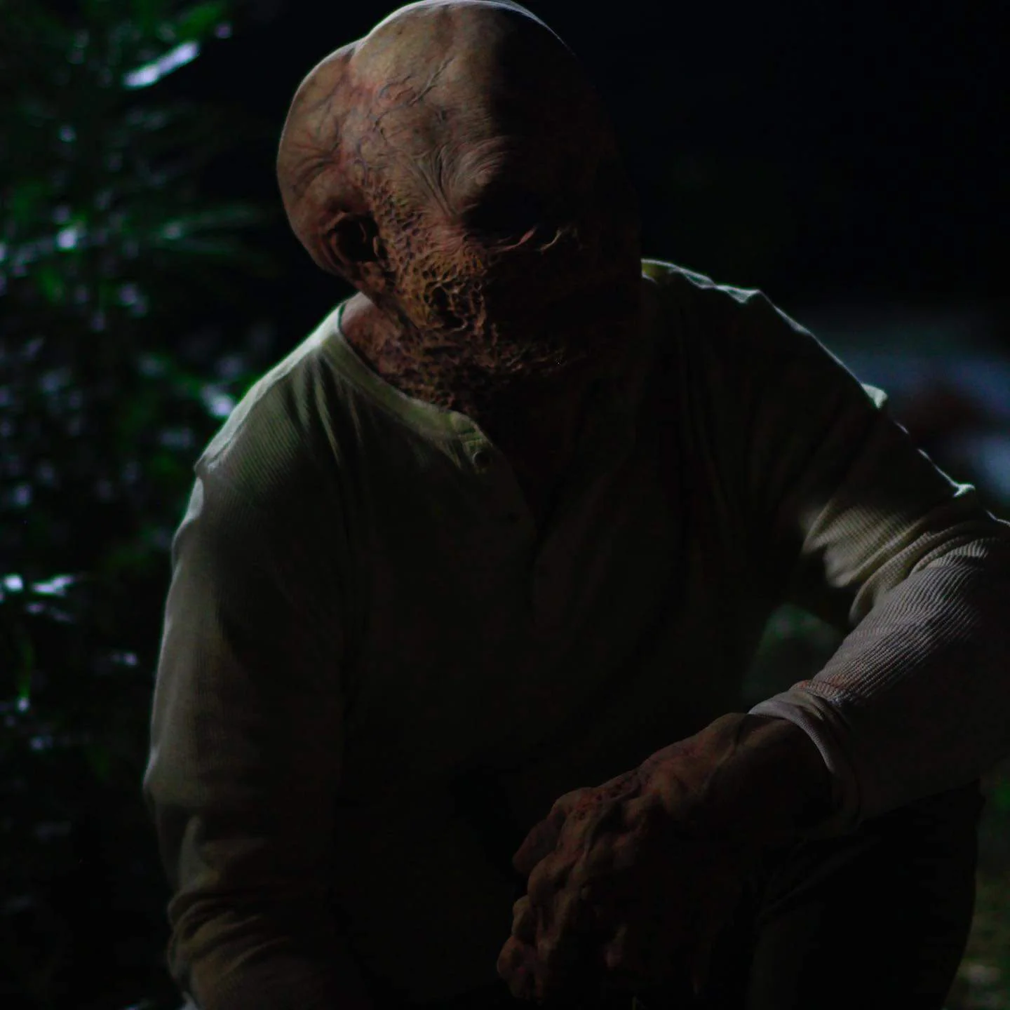 Backwoods Wraps Principal Photography