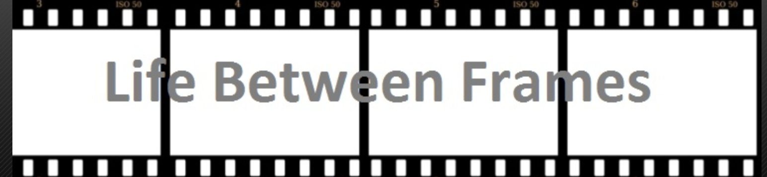 Life Between Frames checks out Demon Squad 2!