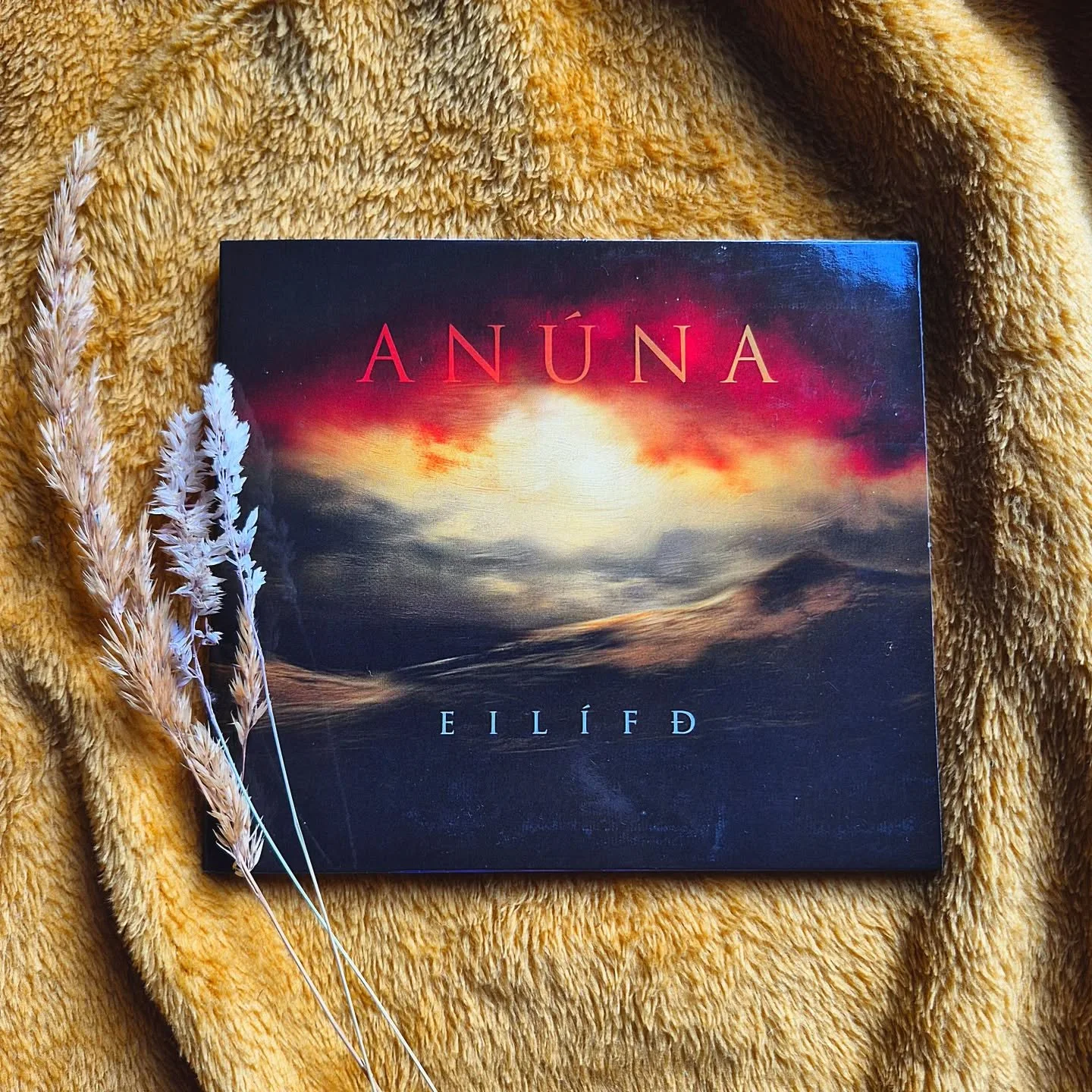 It's here: @anuna_michaelmcglynn's new album "Eilífð"! This one has been several years in the making and reflects the new direction our ensemble is taking, giving rise to the "ANÚNA Collective", comprised of An&u