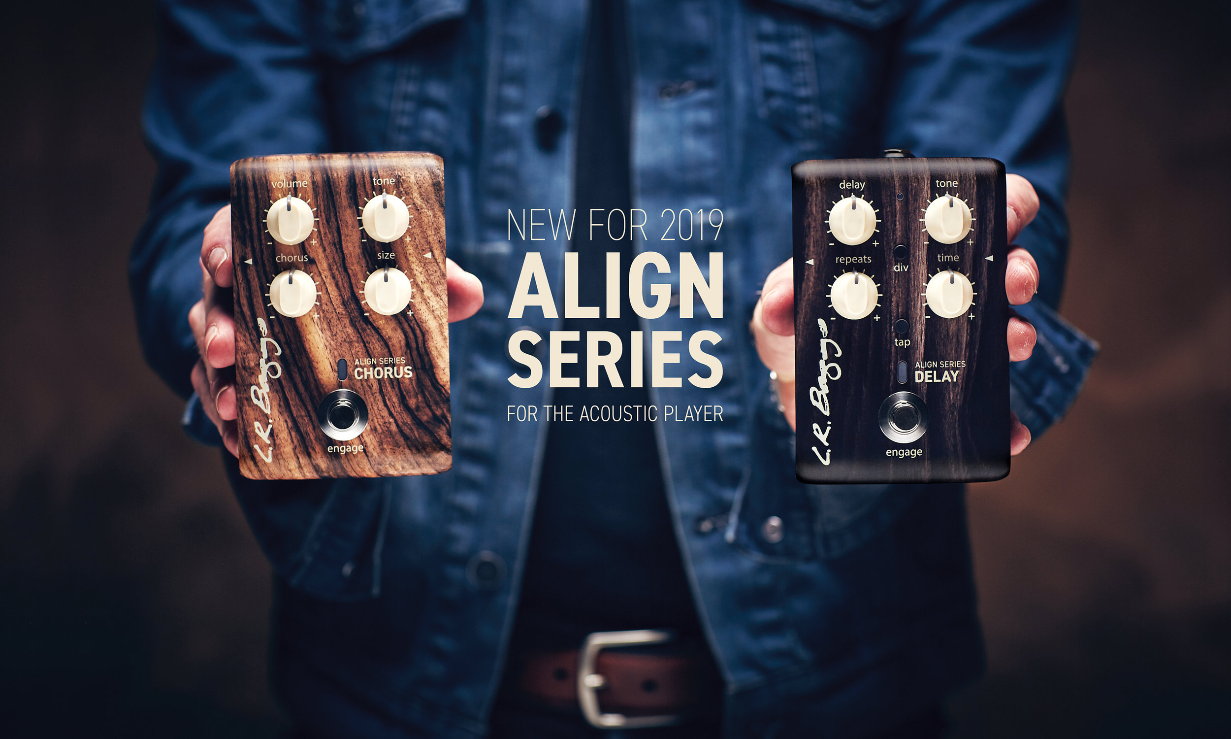 LR Baggs-Align-Series-2019.jpg