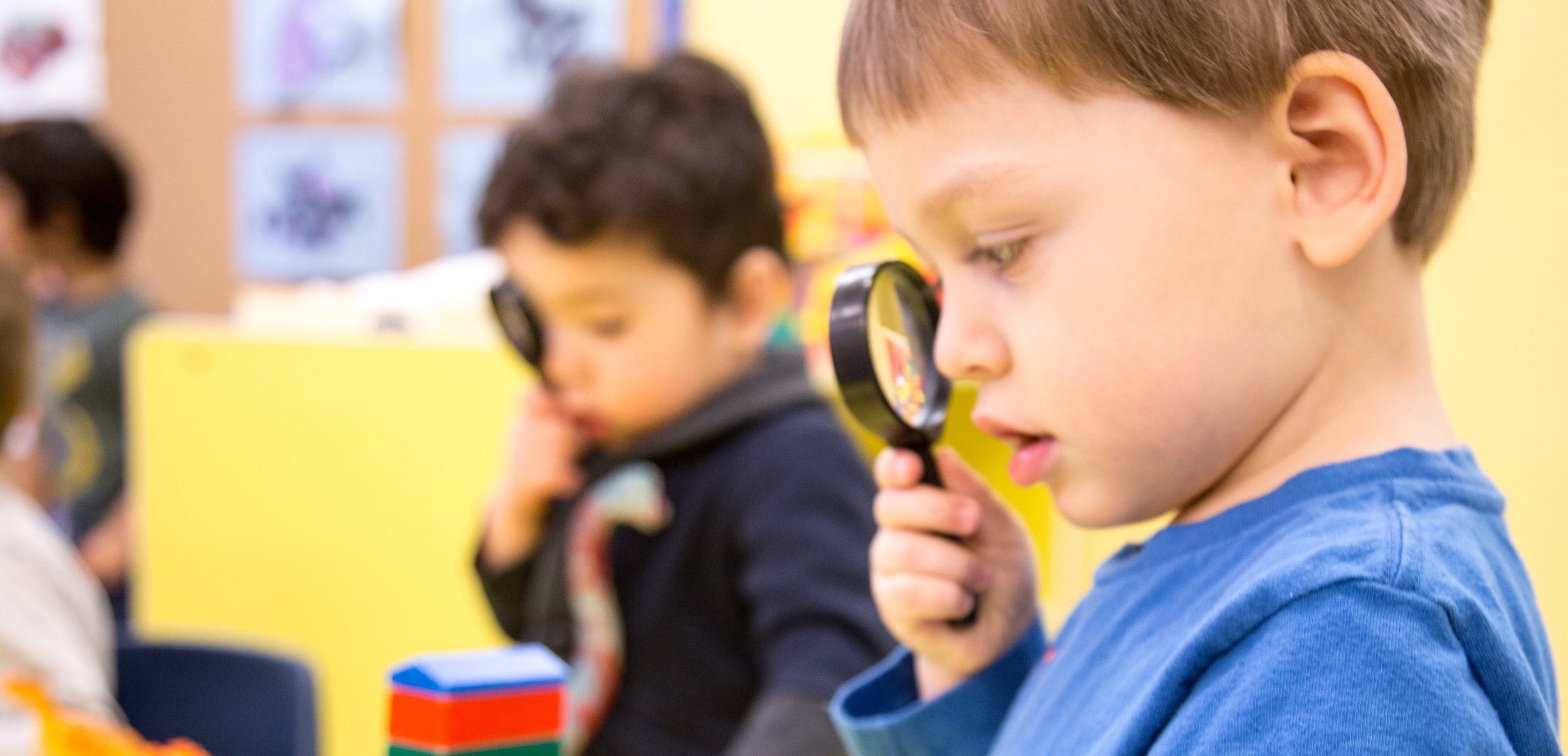 Magnifying glass.jpg