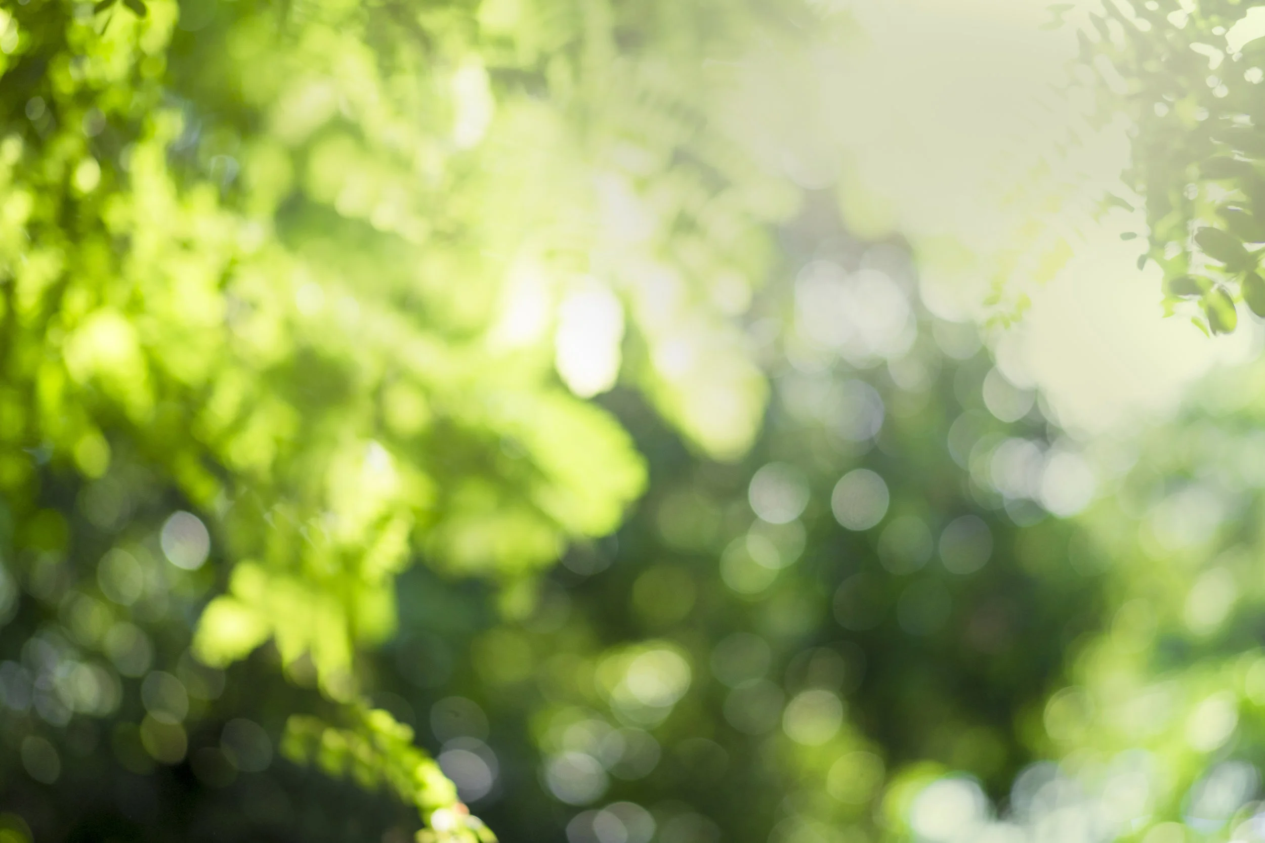 iStock-843325458.jpg