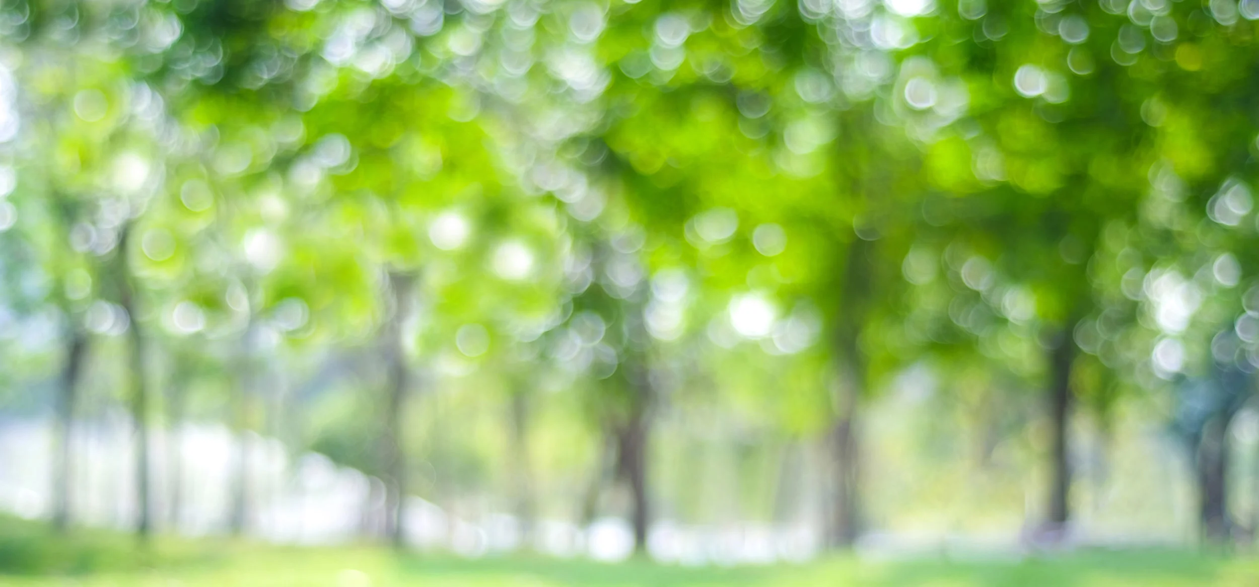 iStock-680111326.jpg