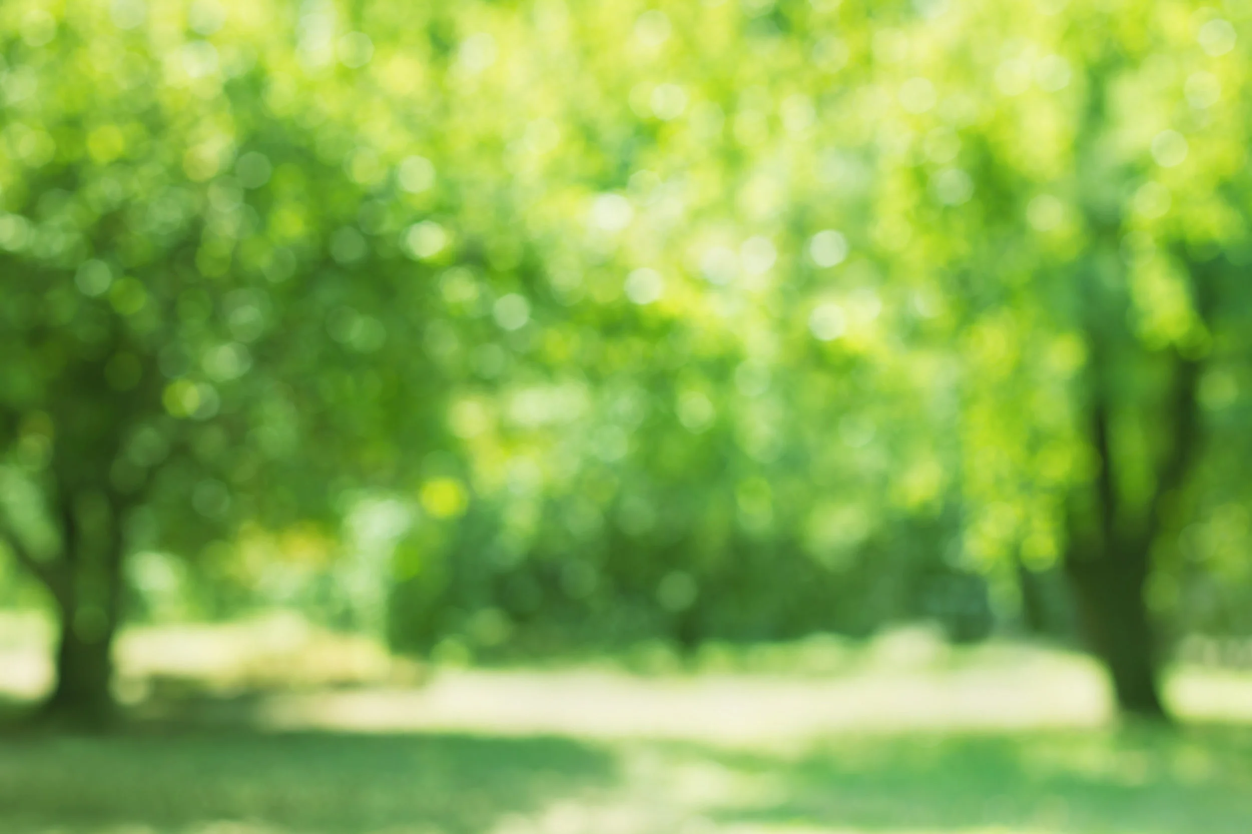 iStock-468684758.jpg