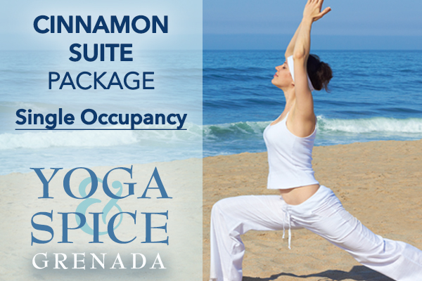 YogaSpice_Cinnamon_Single.jpg