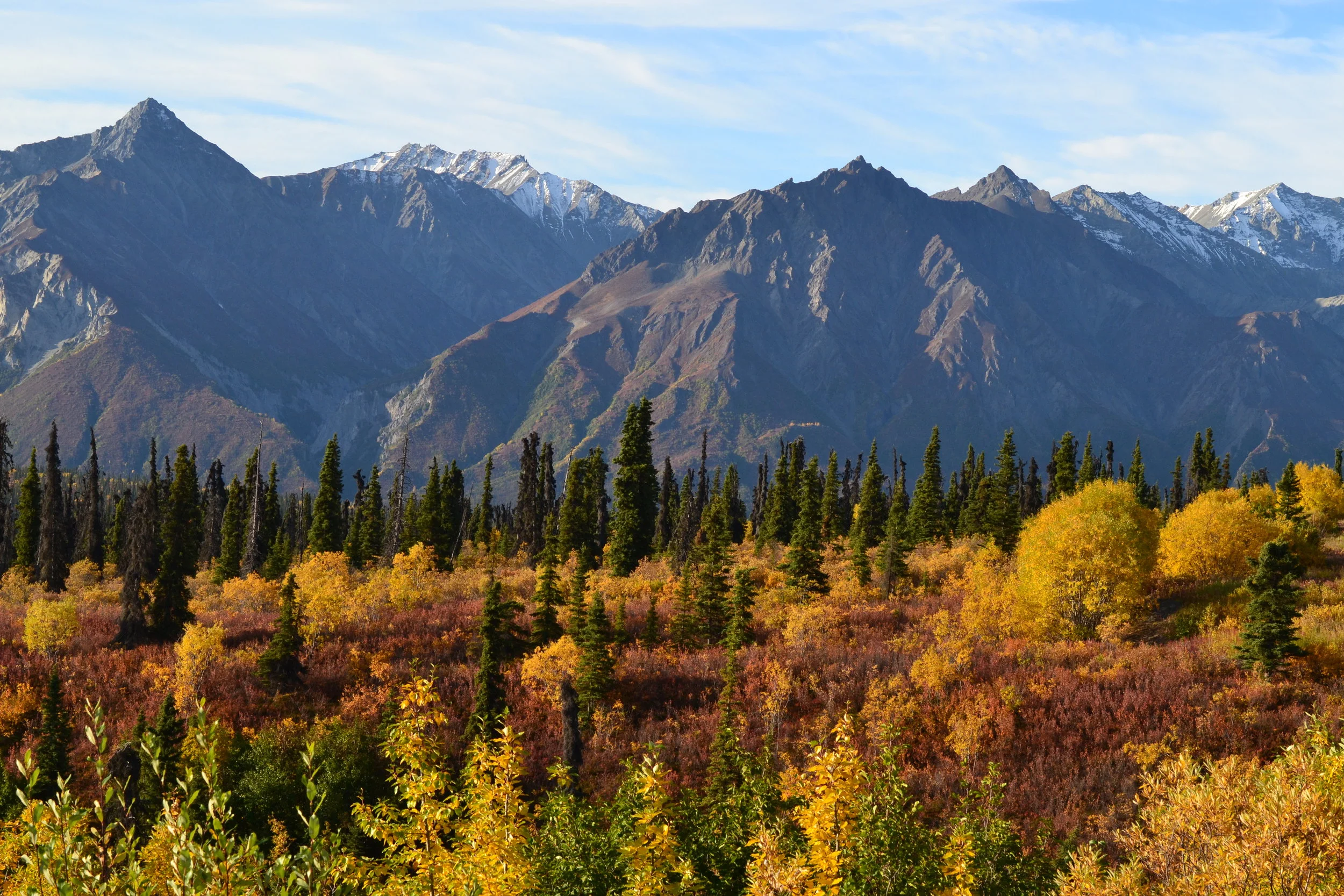 Fall, Foliage, and Flying