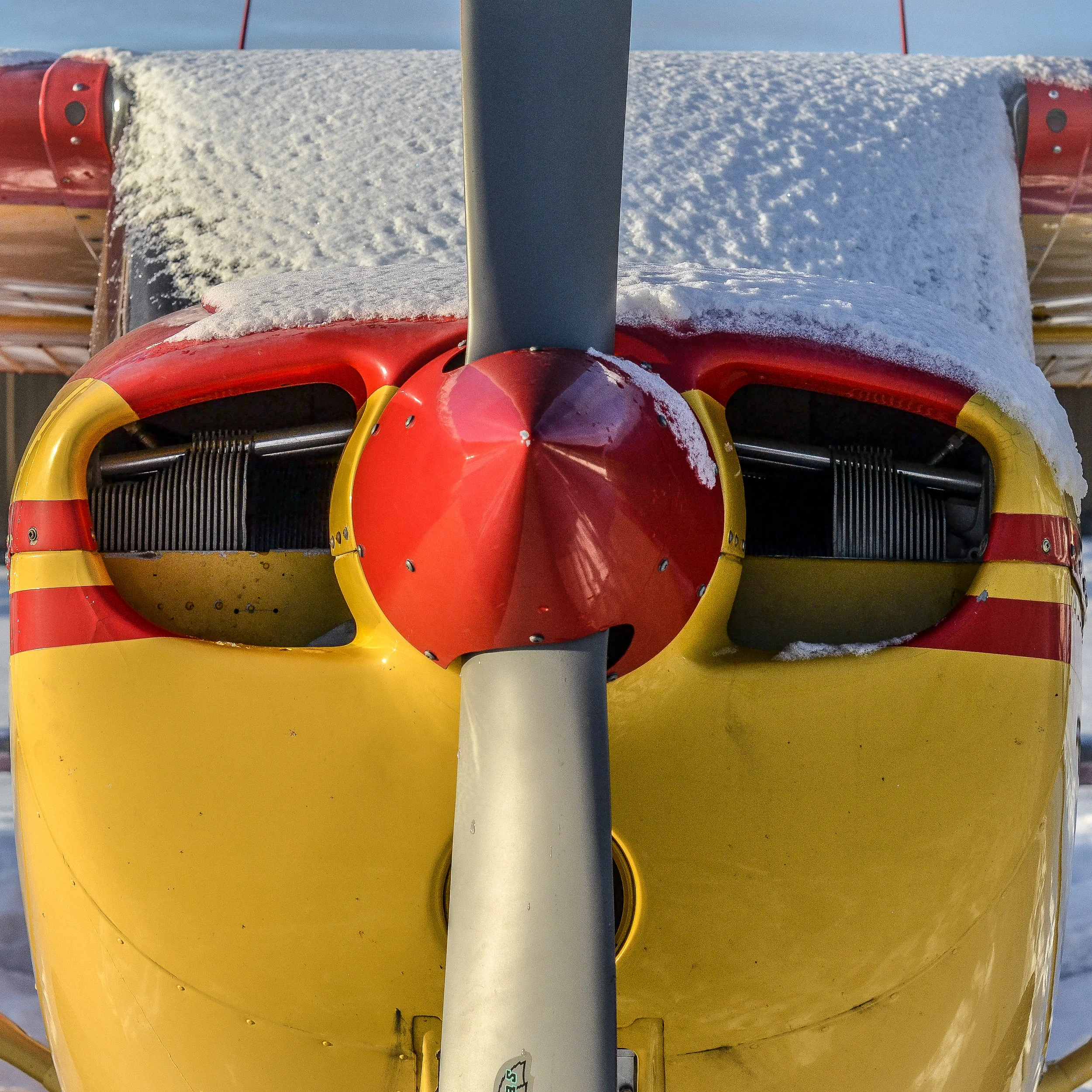 DSC_0090.jpg