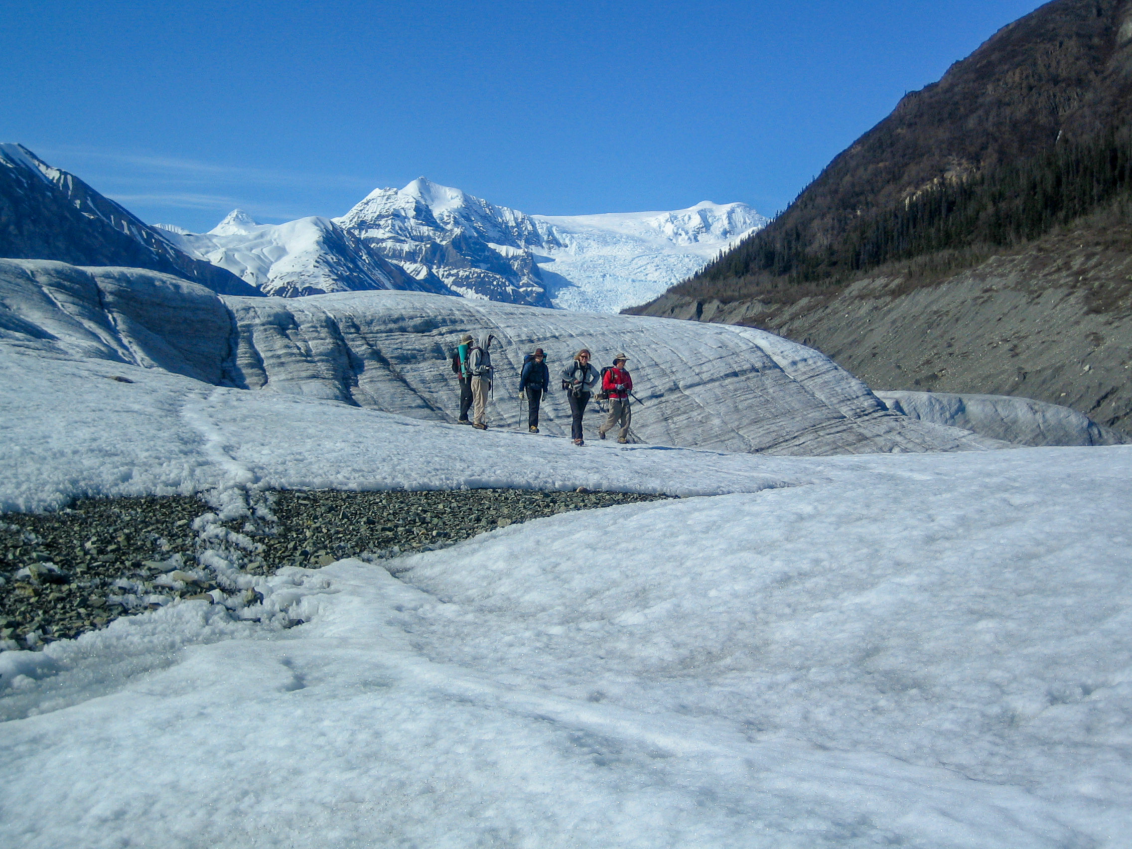 Glacier Adventure Day-Trip: Happy Glacial Hikers