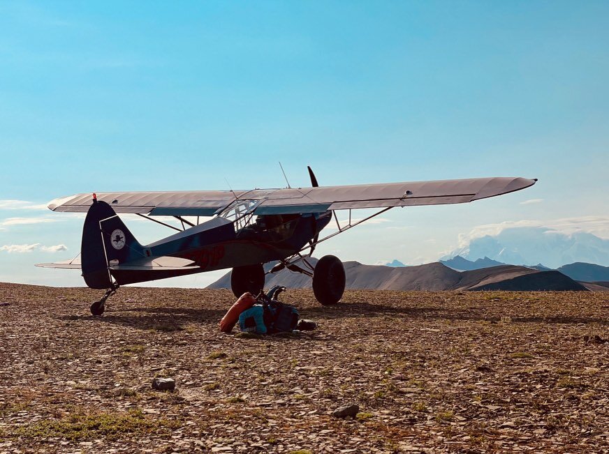 One of my favorite spots in the park is just a hop from McCarthy! Nikolai Strip sits a top a mile high cliff&rsquo;s edge, offering 360 views of braided rivers, mountain peaks, and lots of alpine tundra flowers, and maybe even a fossil or two. If you