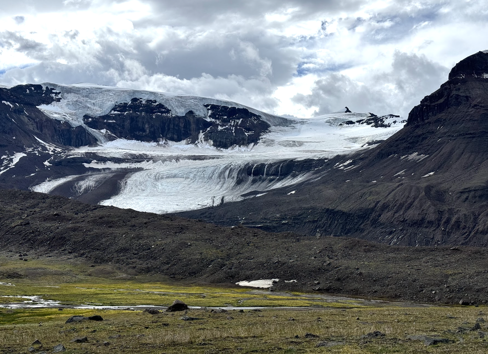 Screen Shot 2025-01-31 at 5.46.17 PM.png