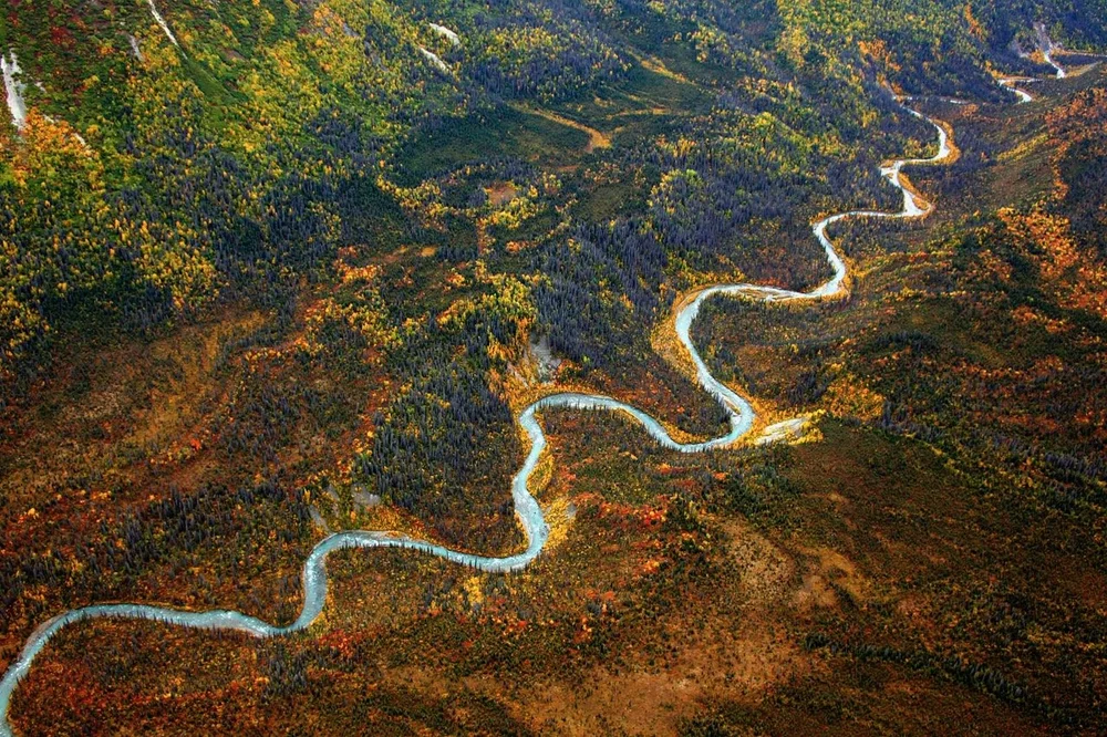 Filip Kusilev - Amazing Planet 1.jpeg