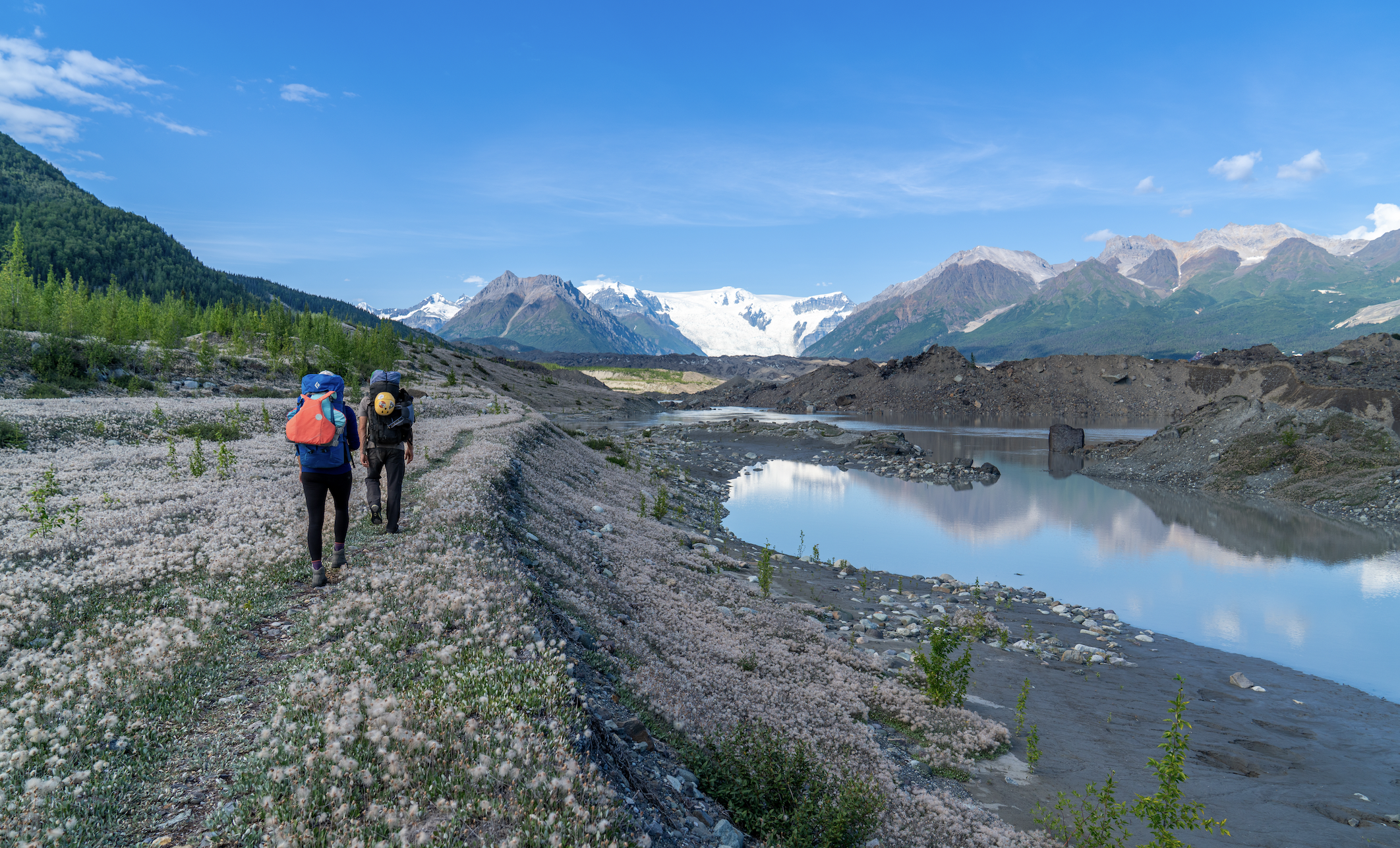 Screen Shot 2026-01-15 at 11.02.32 AM.png