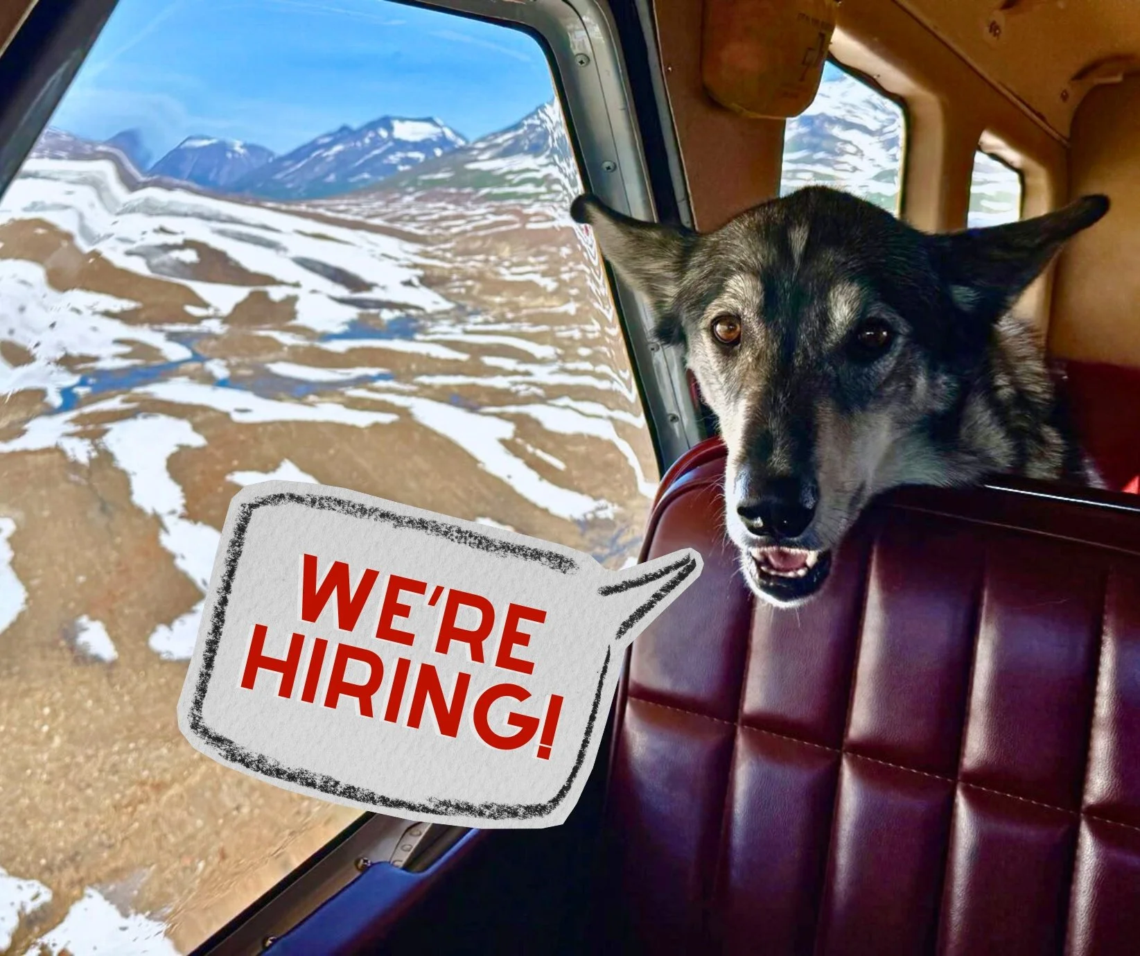 Edit: Our 2026 crew is official! Thank you to all that applied. Be sure to reach out next February for 2027!
&mdash;&mdash;&mdash;&mdash;&mdash;&mdash;&mdash;&mdash;&mdash;&mdash;&mdash;&mdash;&mdash;&mdash;&mdash;&mdash;&mdash;&mdash;&mdash;&mdash;&