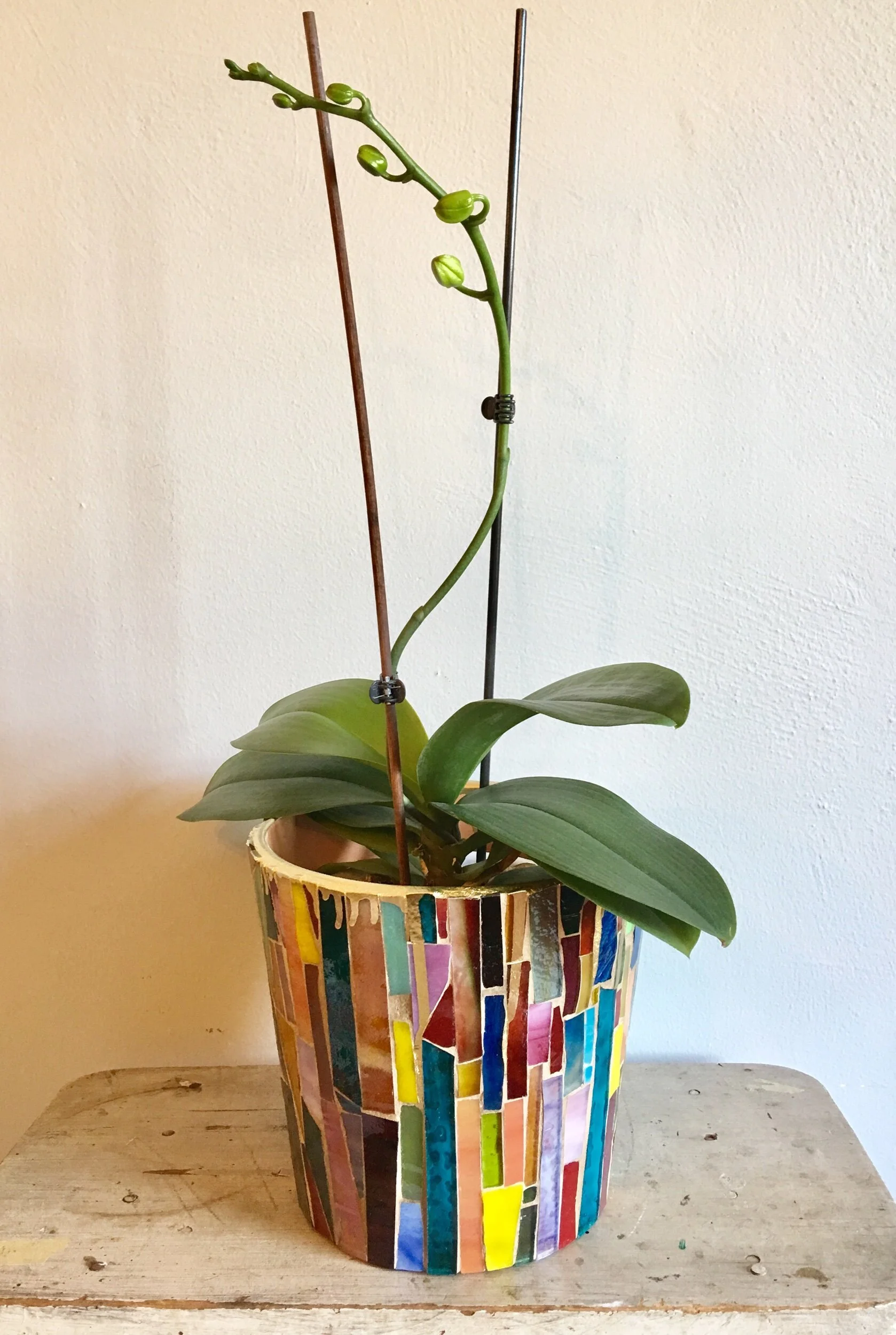 F4DE668D-1DA5-418D-A406-680843E6F915