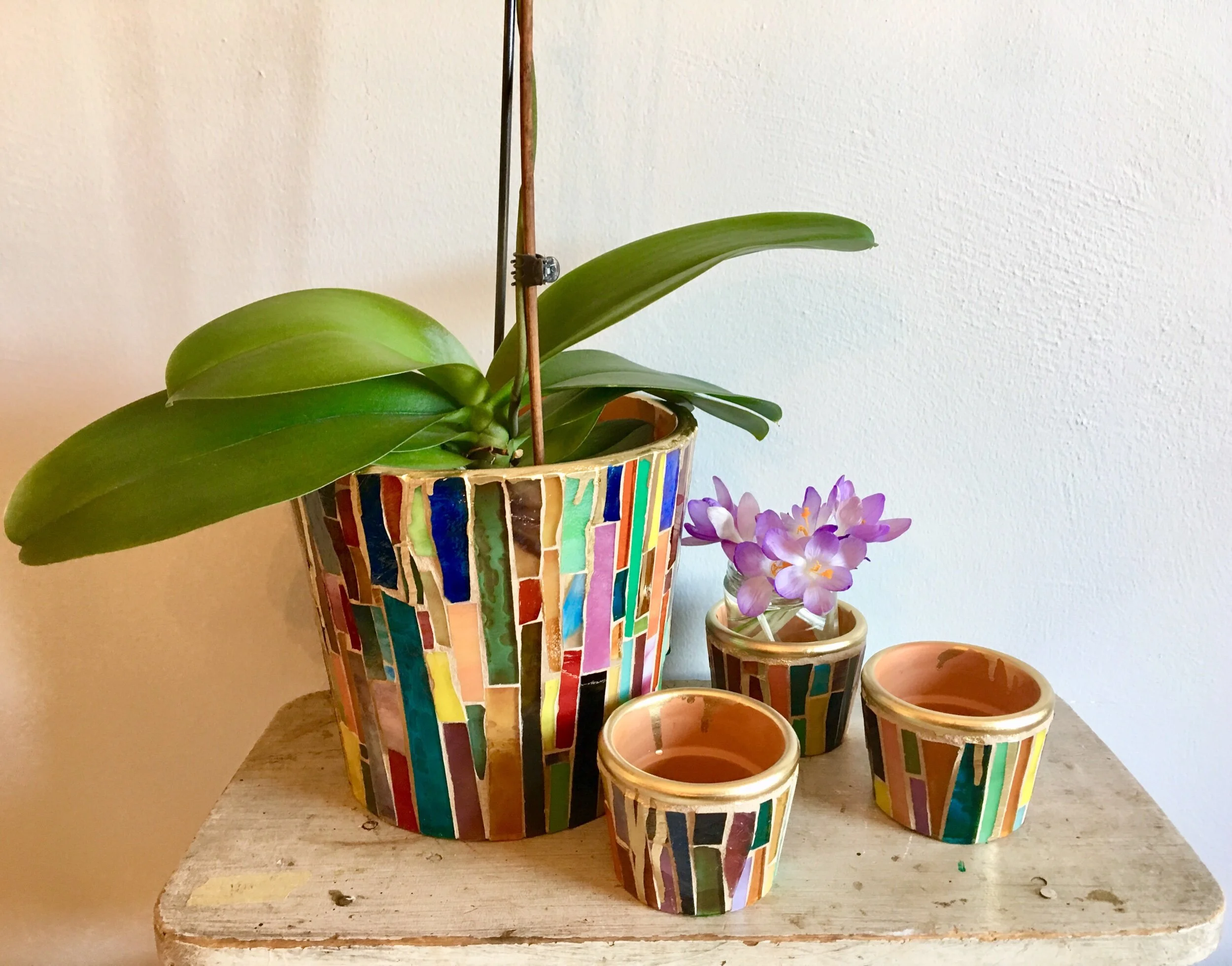 3C0B4F12-144D-4BED-B536-B1A2A6A584D8