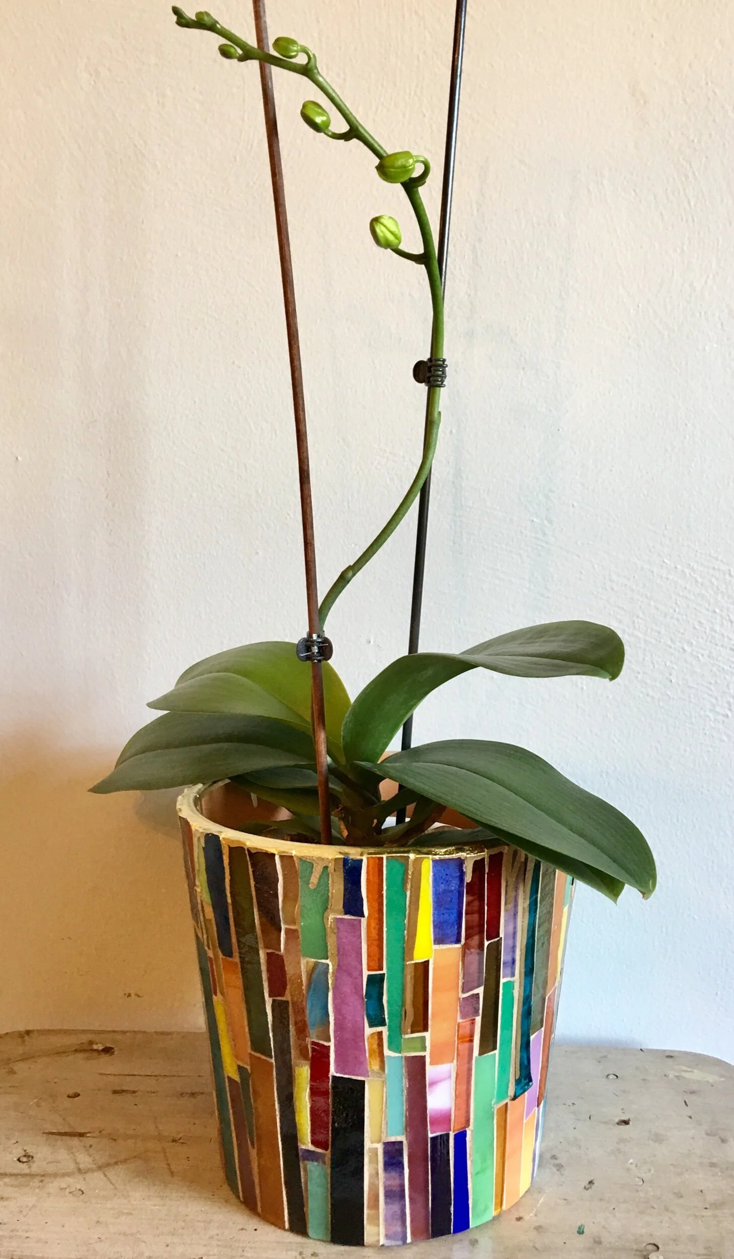 F908FBC7-72DD-452E-A447-42C4463D8B44