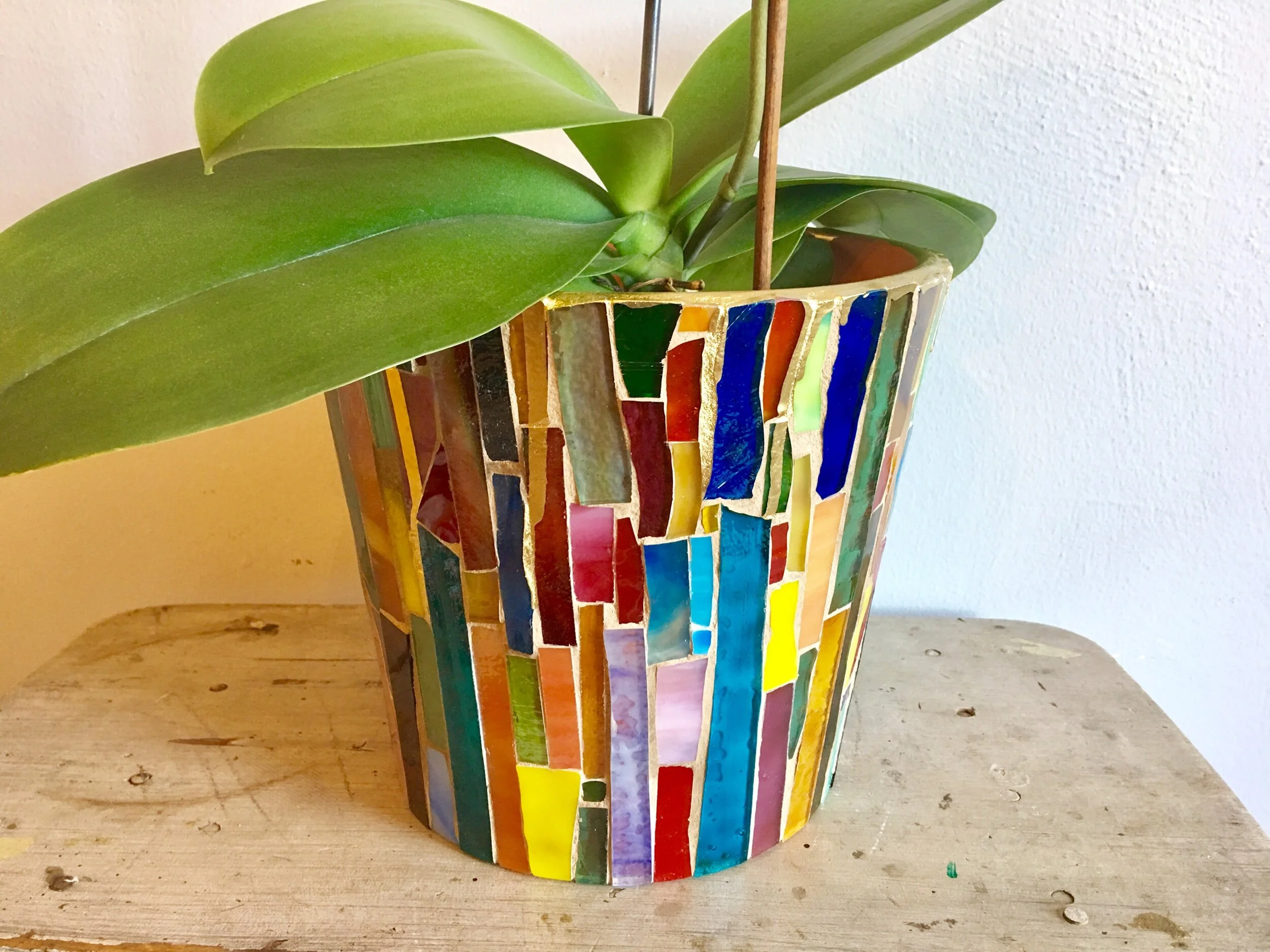 015E483D-8EFF-4513-97F9-FE246E4D4189