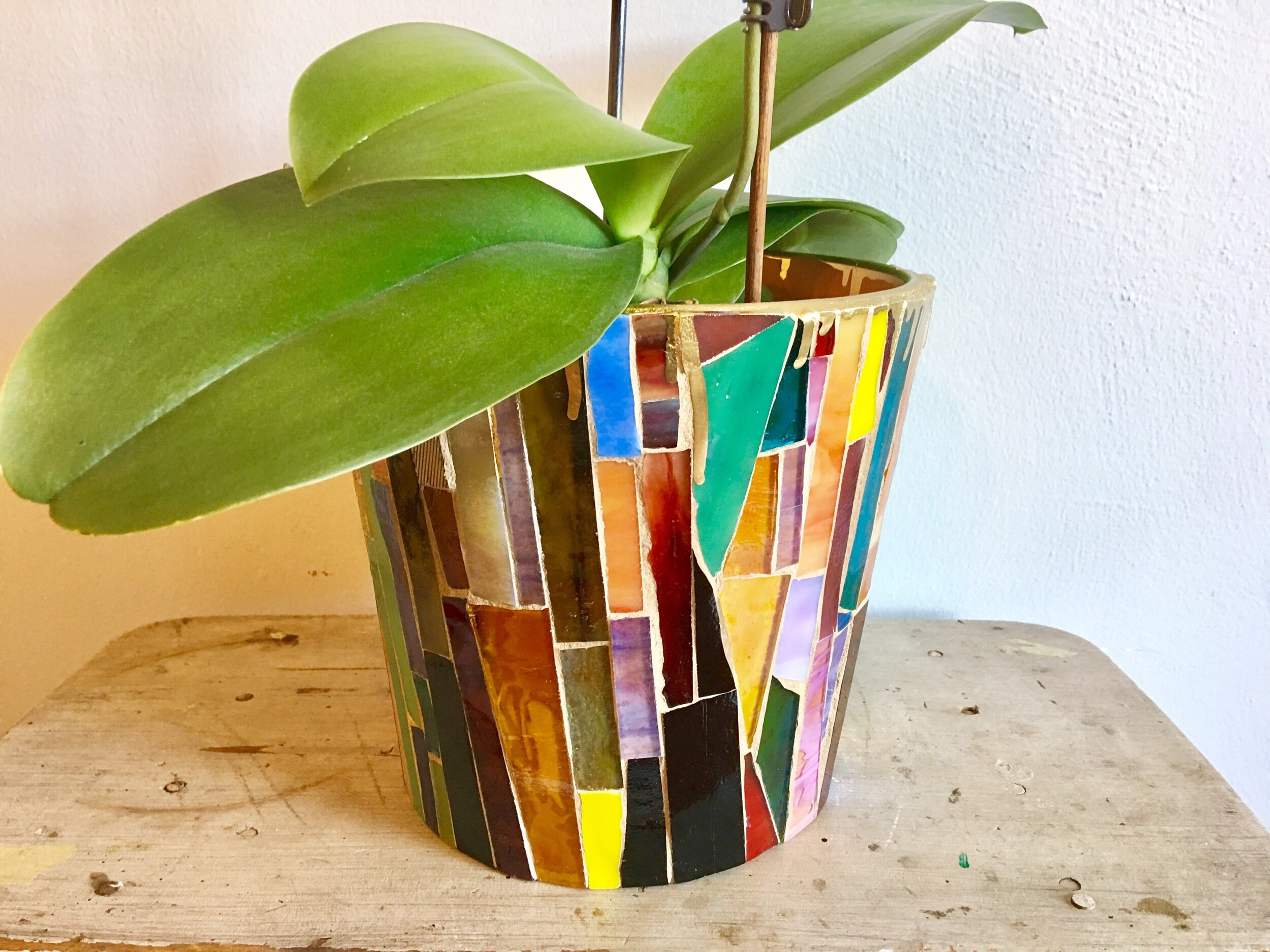 69C6EFDD-CD63-4D2F-91C4-948143F55B4B