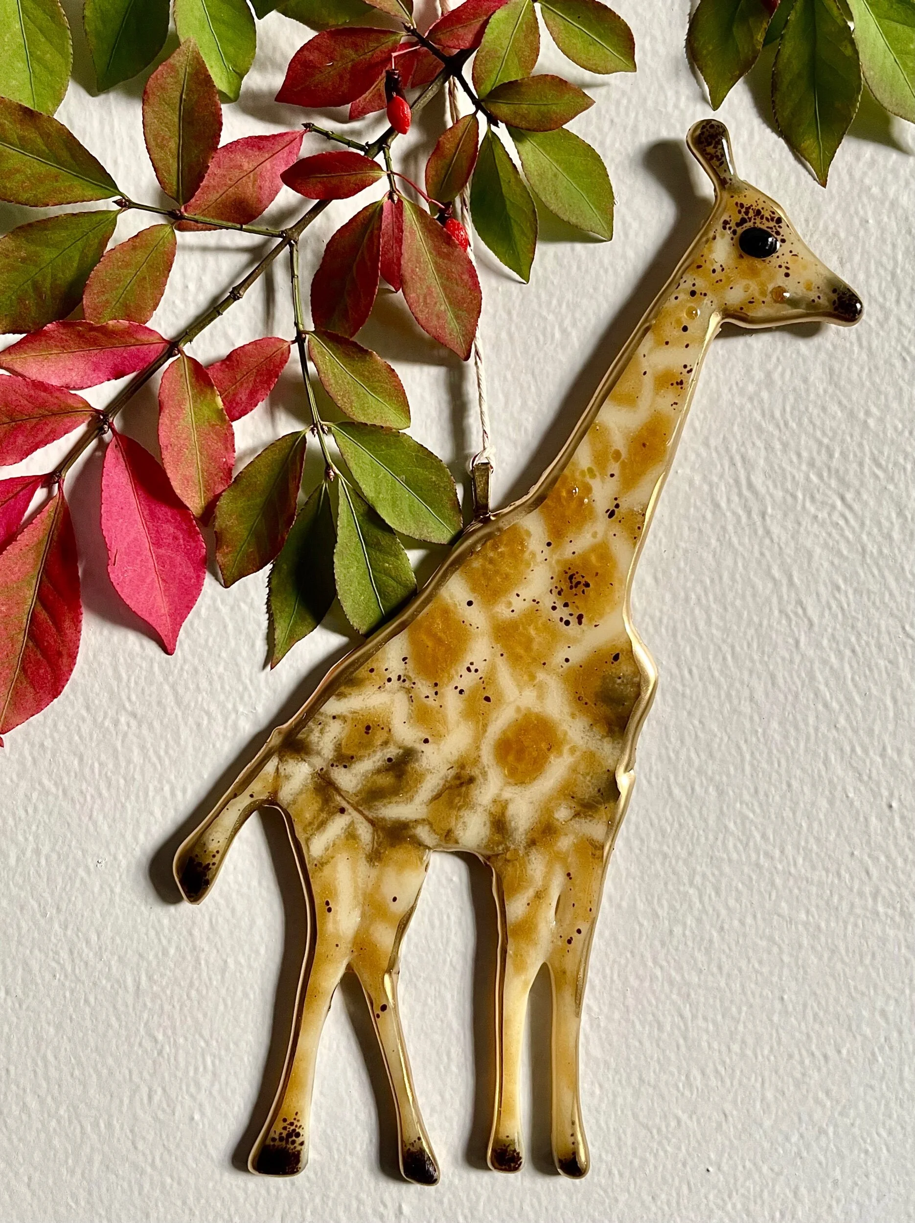 FCACE68E-283D-4C46-8D2C-EE611A8BB935