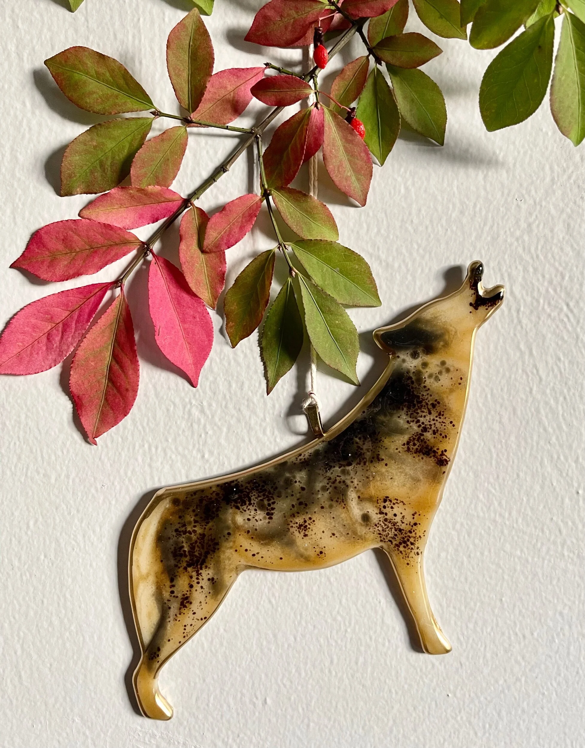 A2E2CD2D-A914-4FD6-84E7-6E15D5E4D6C2