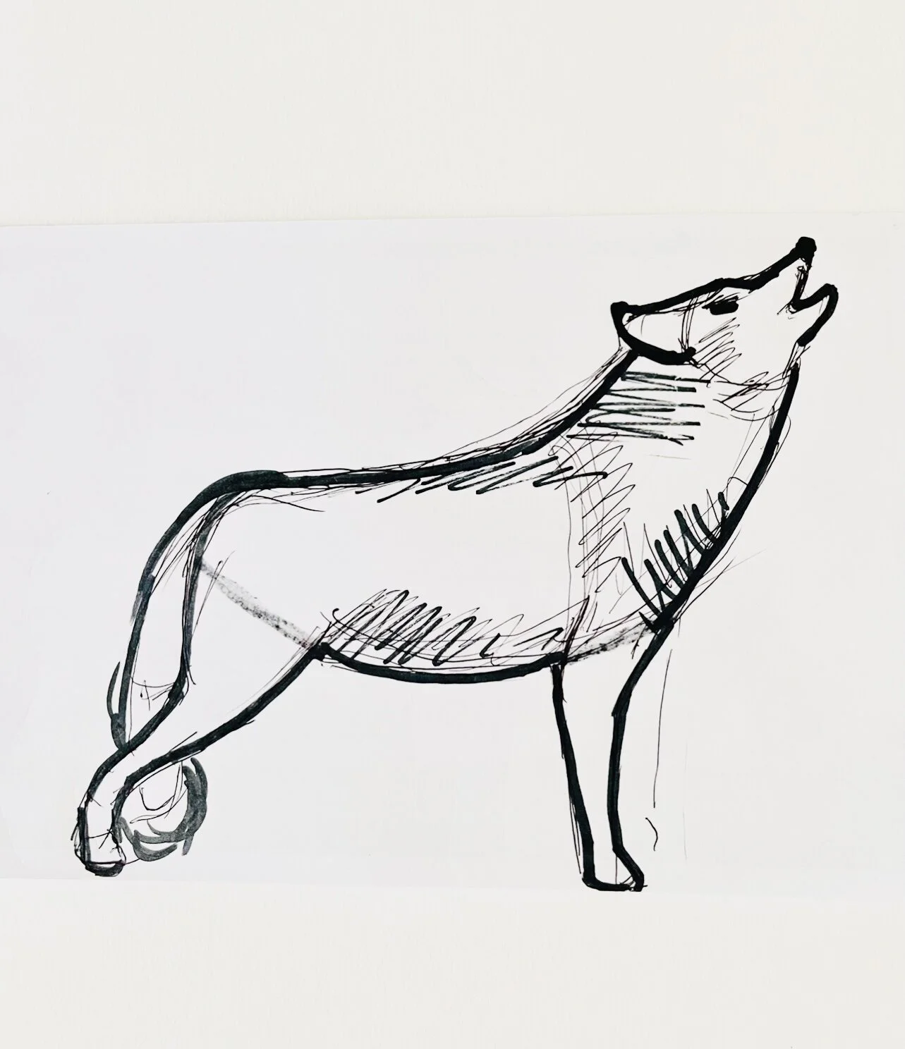 59D22F97-7C70-4043-9D30-0098DCA469AF