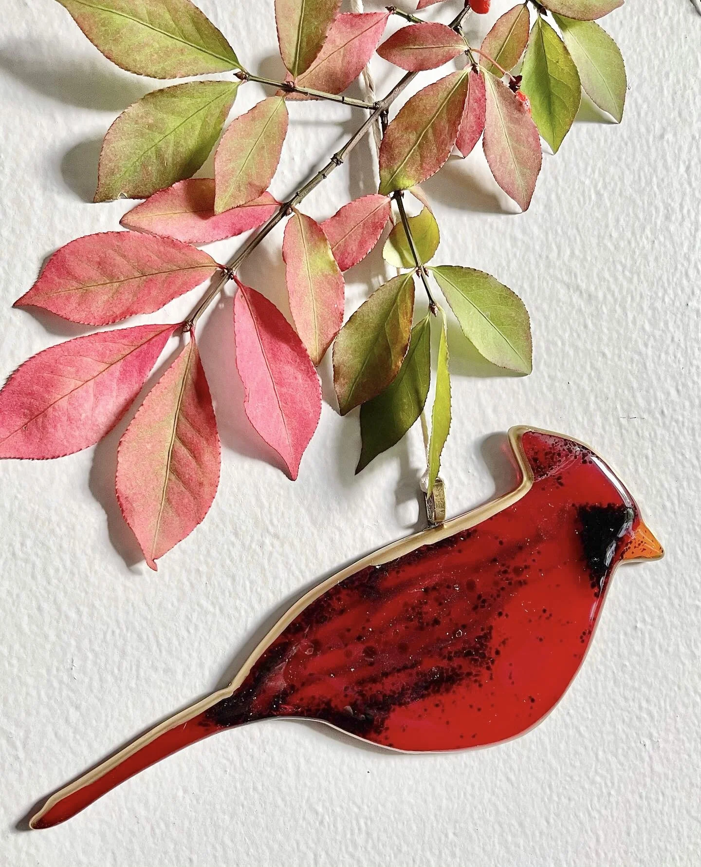 B9678454-EBBE-4D5F-83C4-A66881293253