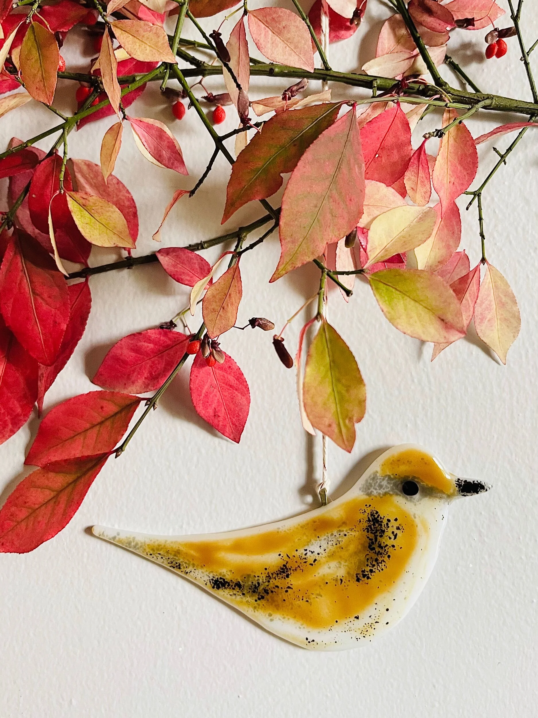 75063406-8AC3-45DB-A0FB-656073876887