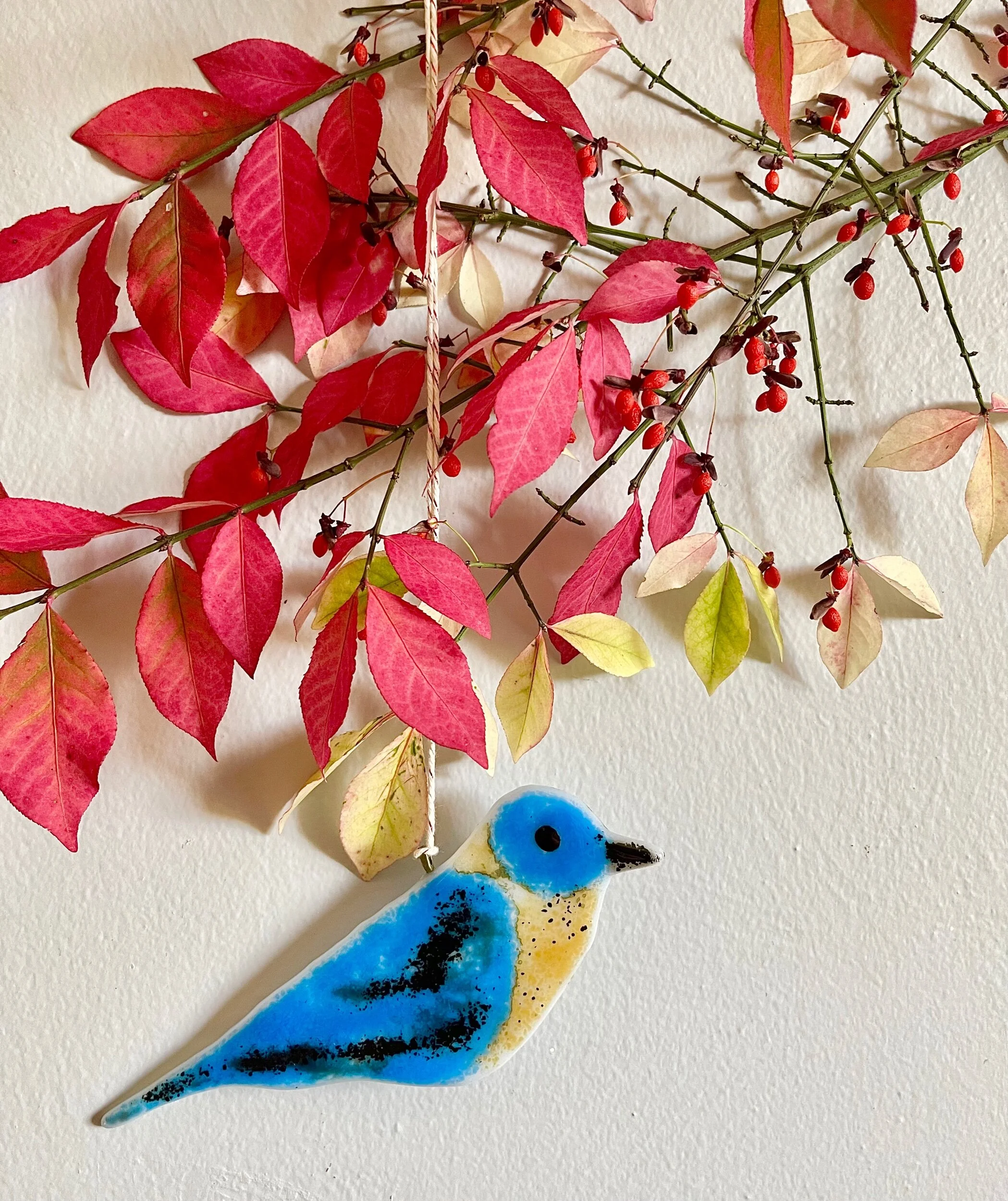 21A1CB6F-440F-4A01-8012-1EC9BF9AAE77