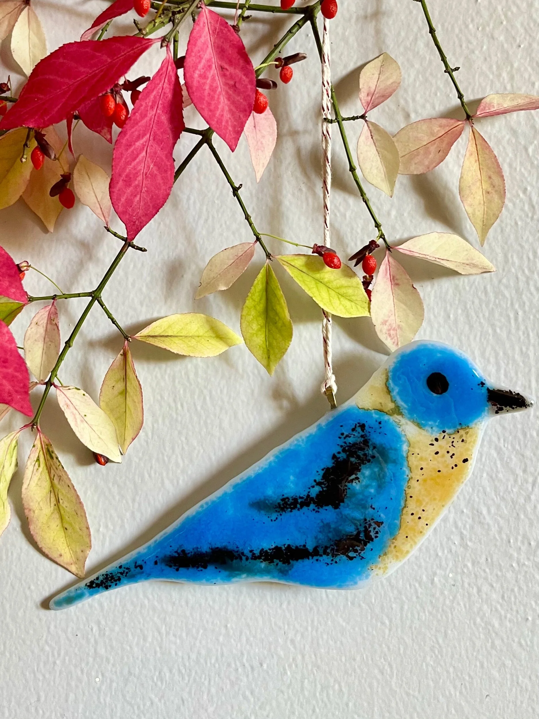 B139DF20-D3FB-47FF-AAC9-7DB691AB87EC