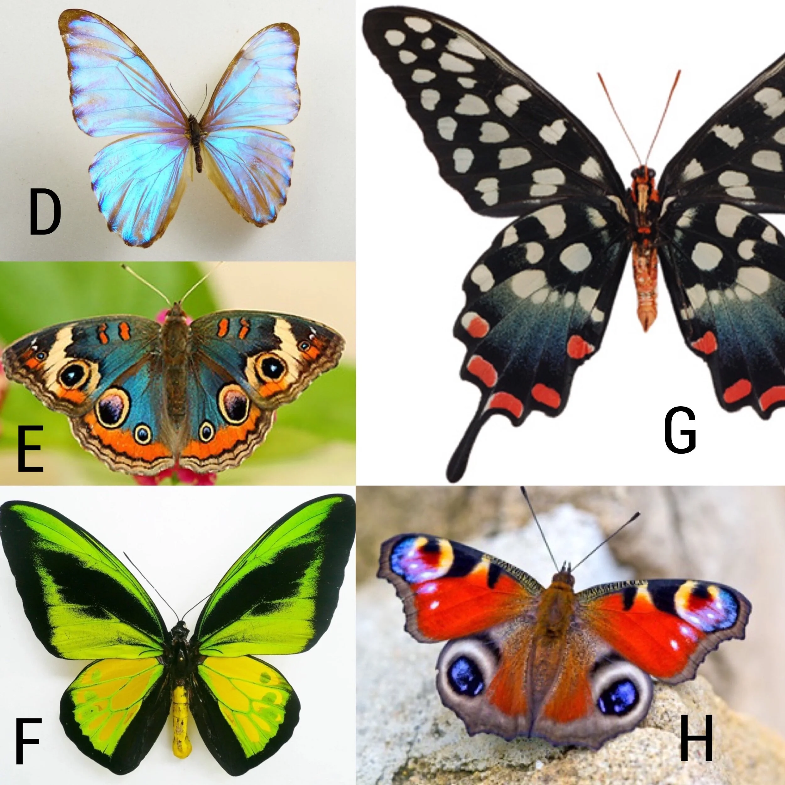 659098C1-2C0F-4820-9098-77FEE25B1EE3