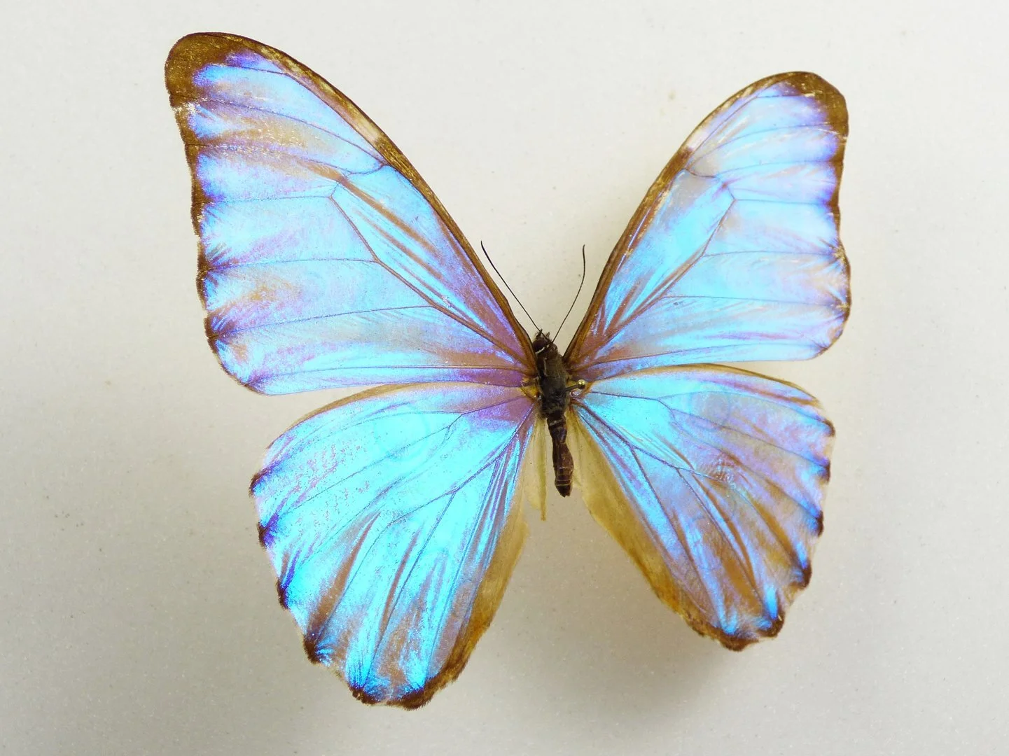 FB311B0D-4769-493B-86B5-2BF02F09460B