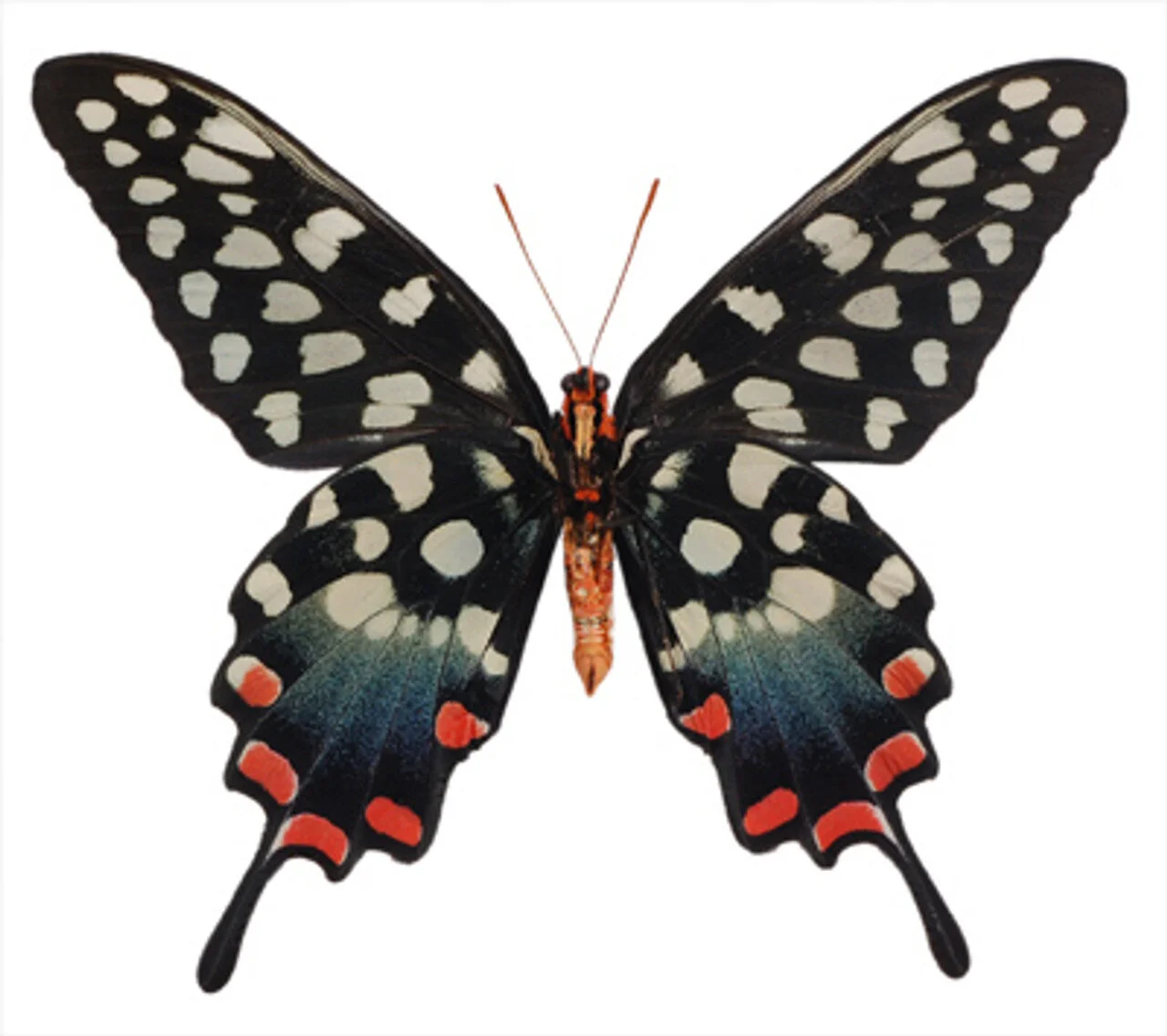 DDFFBAD4-1AD8-4D24-98EC-9F9FAFA5EAC5