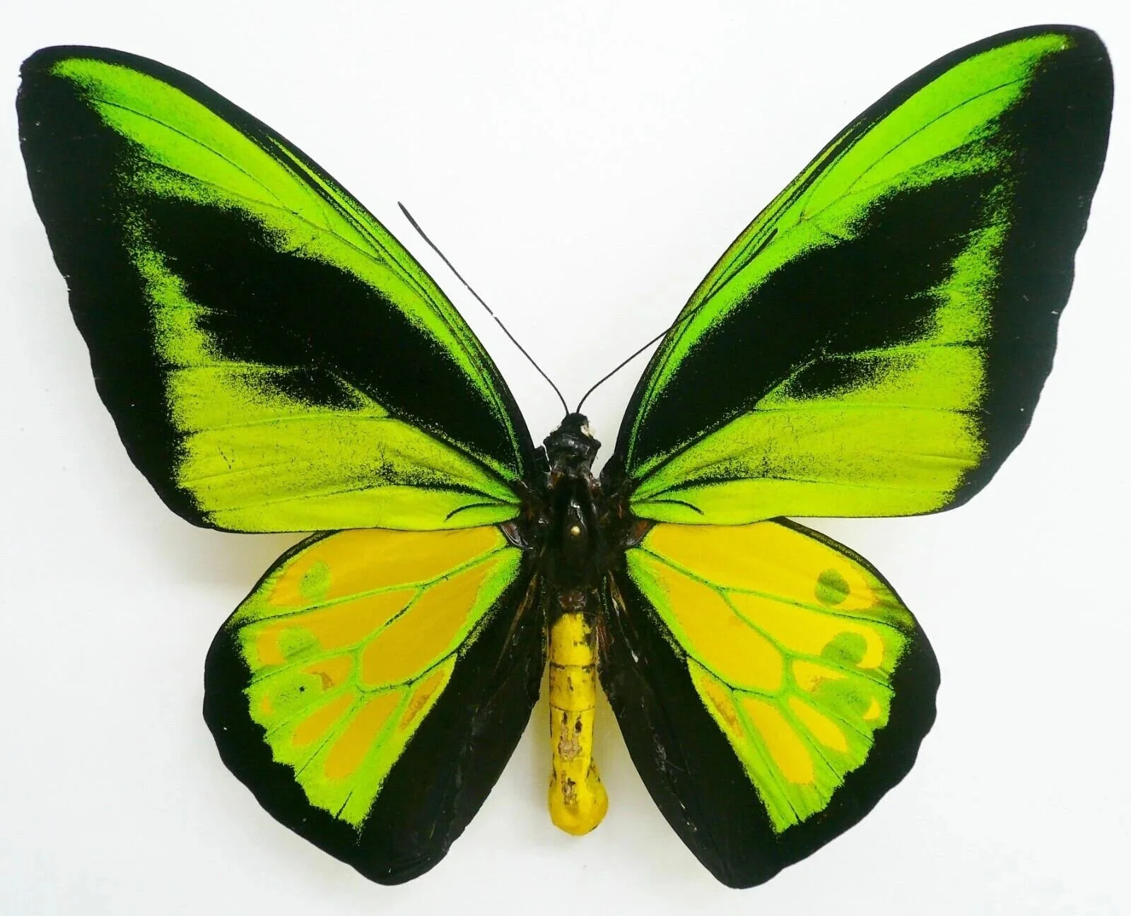 947E2597-7595-4A2C-8F00-6DF42FF13D25