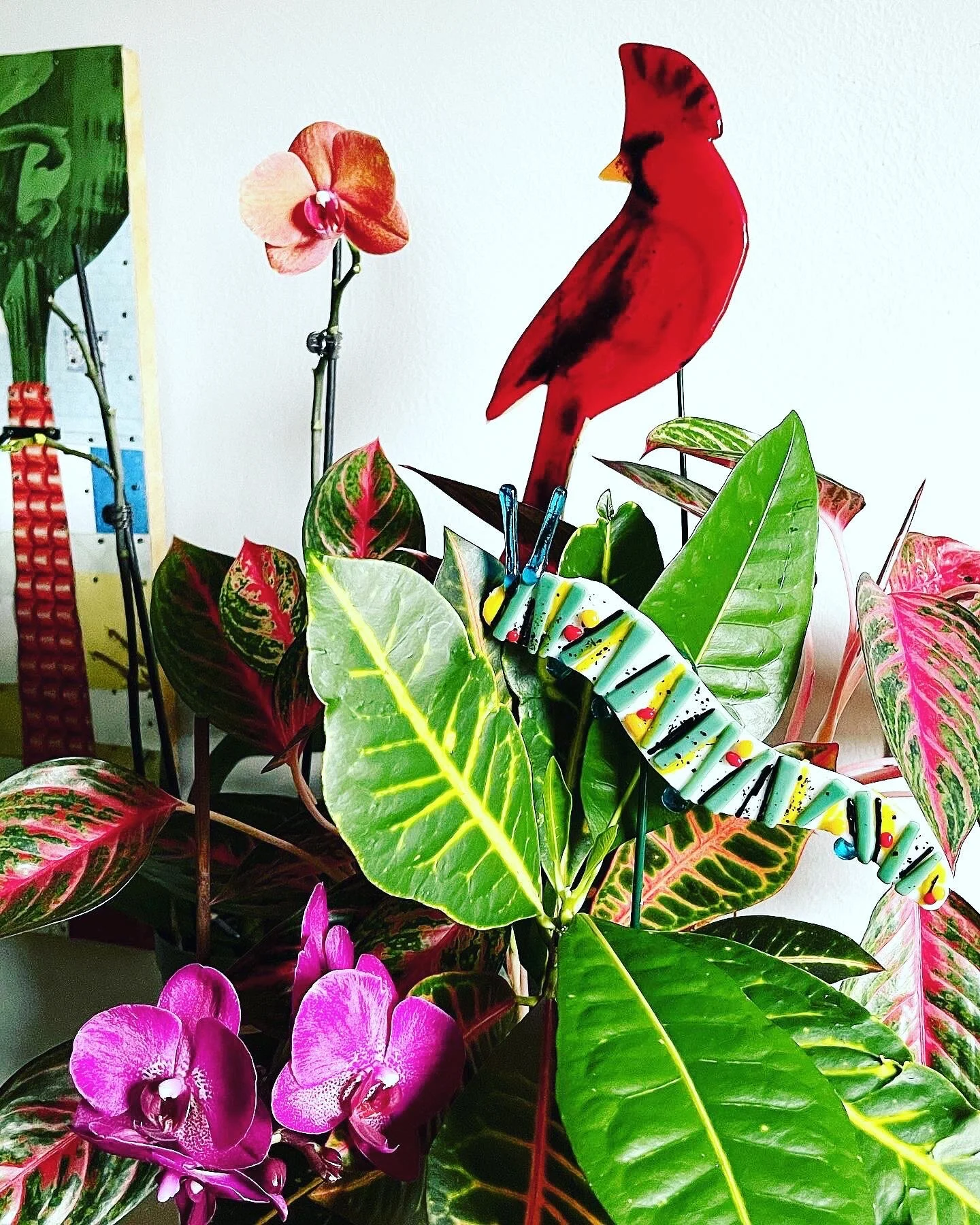 67C2F21A-D57A-4D1D-B42D-F4C6105BF16C