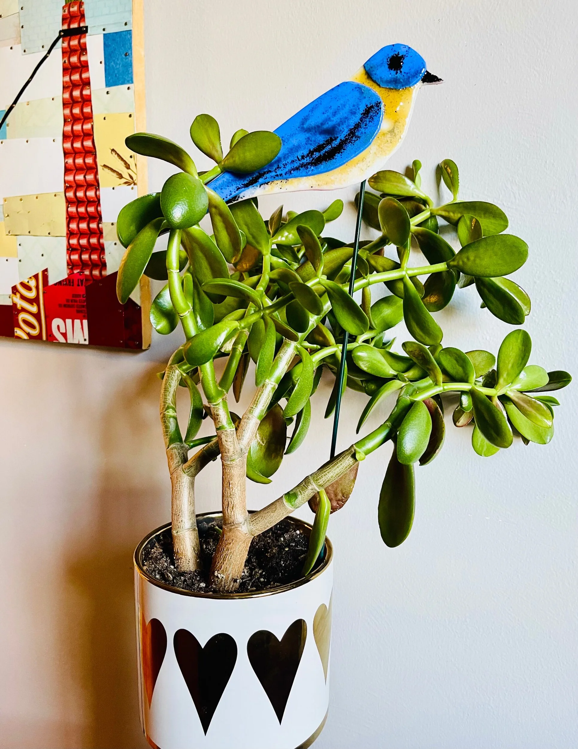 2643CFD0-5828-453D-9949-F637825707D0