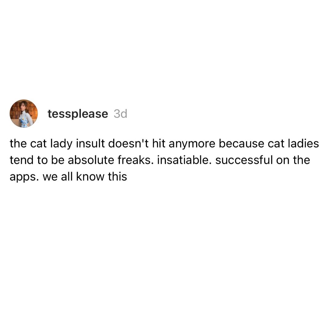 my truths, my questions, and a clip from my friend&rsquo;s wedding #catlady #jokes #commentary