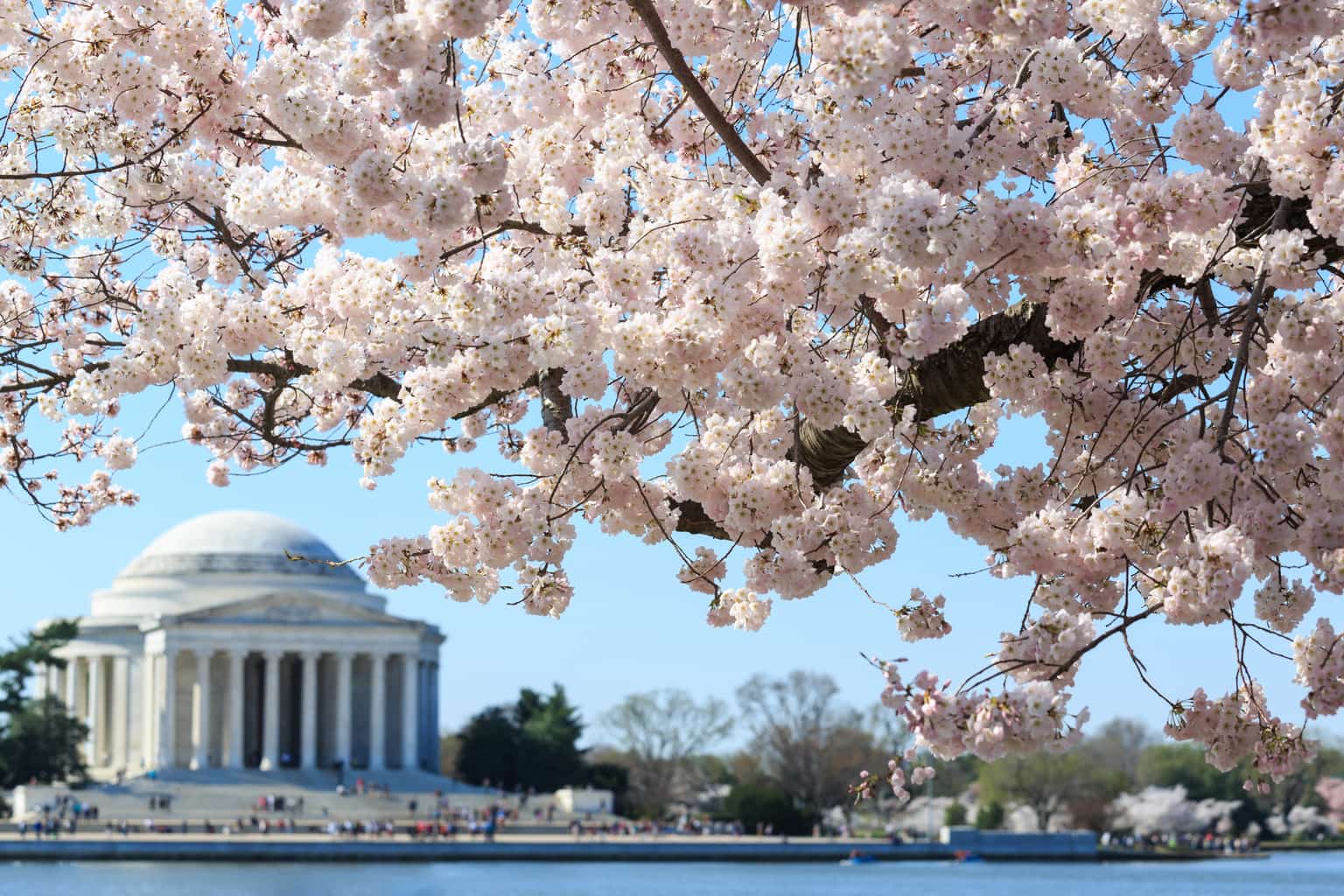 Washington-DC-Thomas-Jefferson-Memorial.jpg