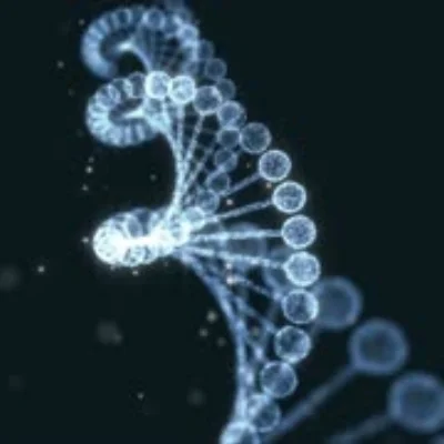 Spiritual DNA
